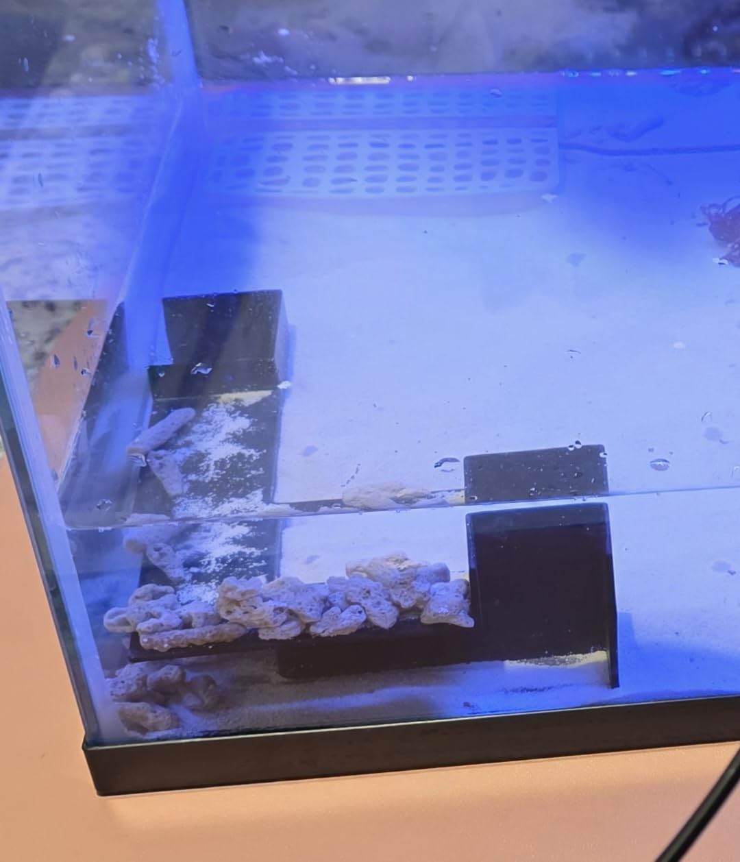 Tetra Glass Aquarium 55 Gallons, Rectangular Fish Tank (NV52018) customer photo 1