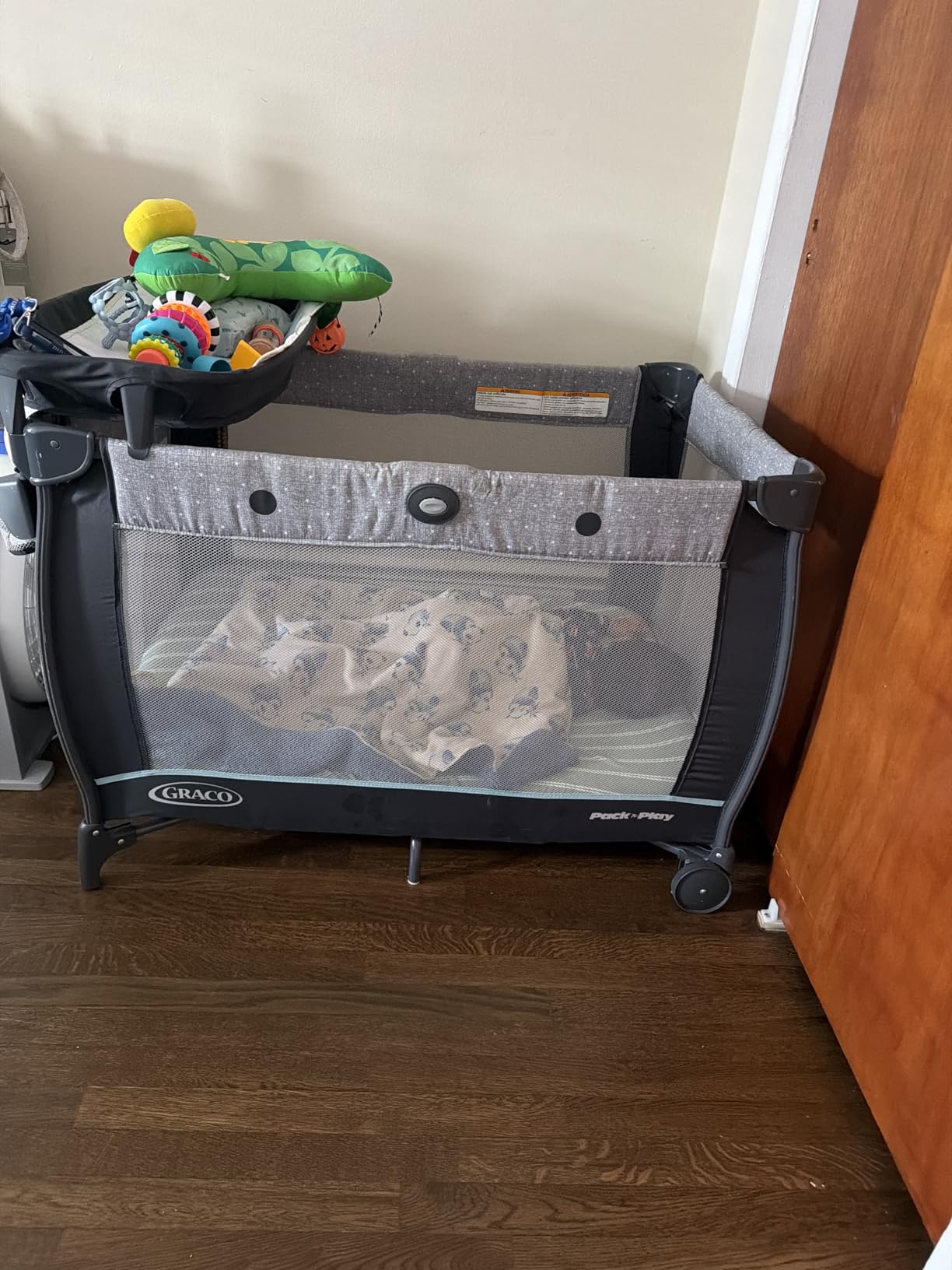 Graco Pack 'n Play Dome LX Playard with Baby Bassinet customer photo 1