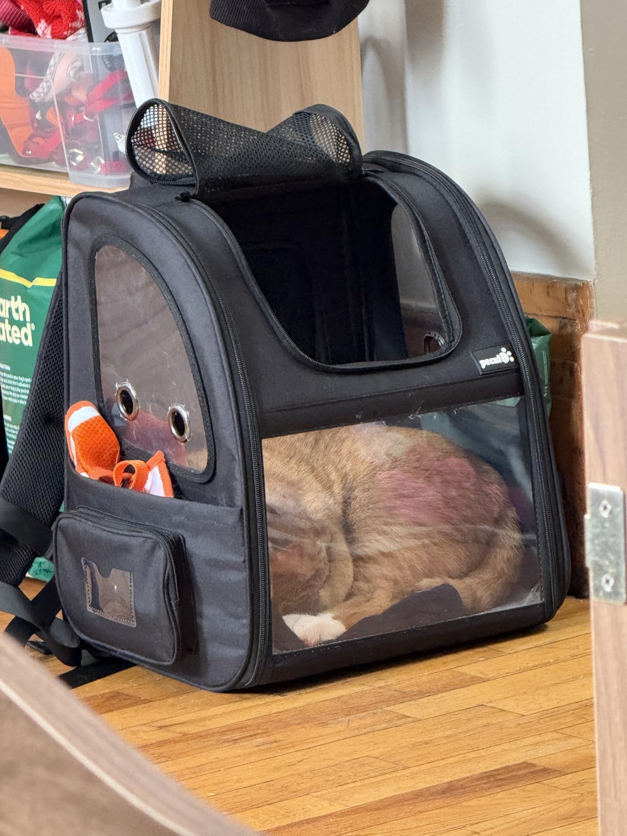 Pecute Pet Carrier Backpack, Dog Carrier Backpack, Expandable with Breathable Mesh for Small Dogs Cats Puppies, Pet Backpack Bag for Hiking Travel Camping Outdoor Hold Pets Up to 18 Lbs customer photo 1