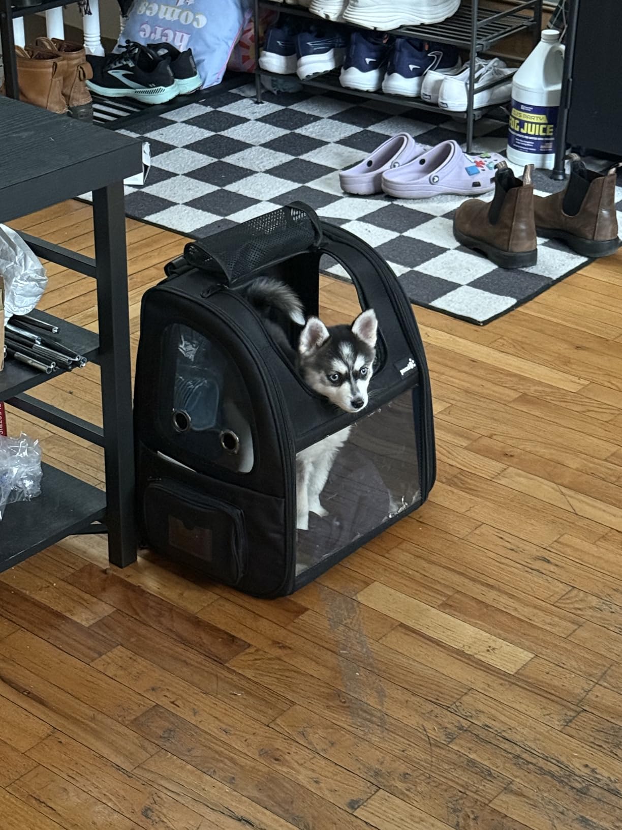 Pecute Pet Carrier Backpack, Dog Carrier Backpack, Expandable with Breathable Mesh for Small Dogs Cats Puppies, Pet Backpack Bag for Hiking Travel Camping Outdoor Hold Pets Up to 18 Lbs customer photo 2
