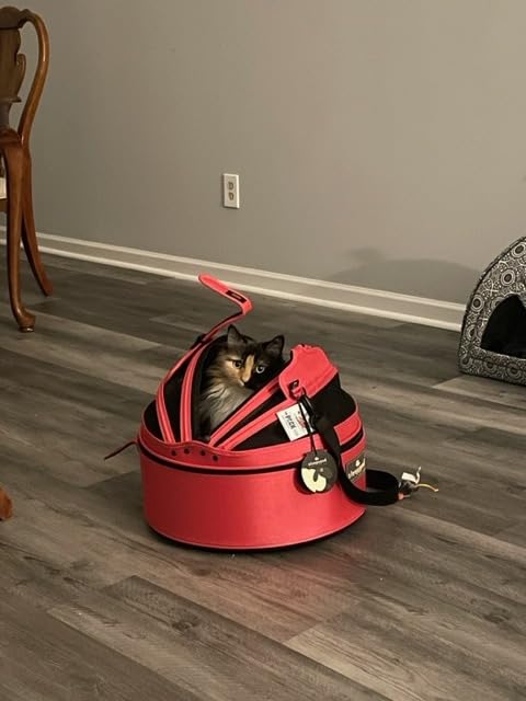 Sleepypod Mobile Pet Bed - Multi-use Travel Pet Bed, Crash-Tested Car Seat, & Carrier for Dogs and Cats up to 15 Pounds customer photo 2