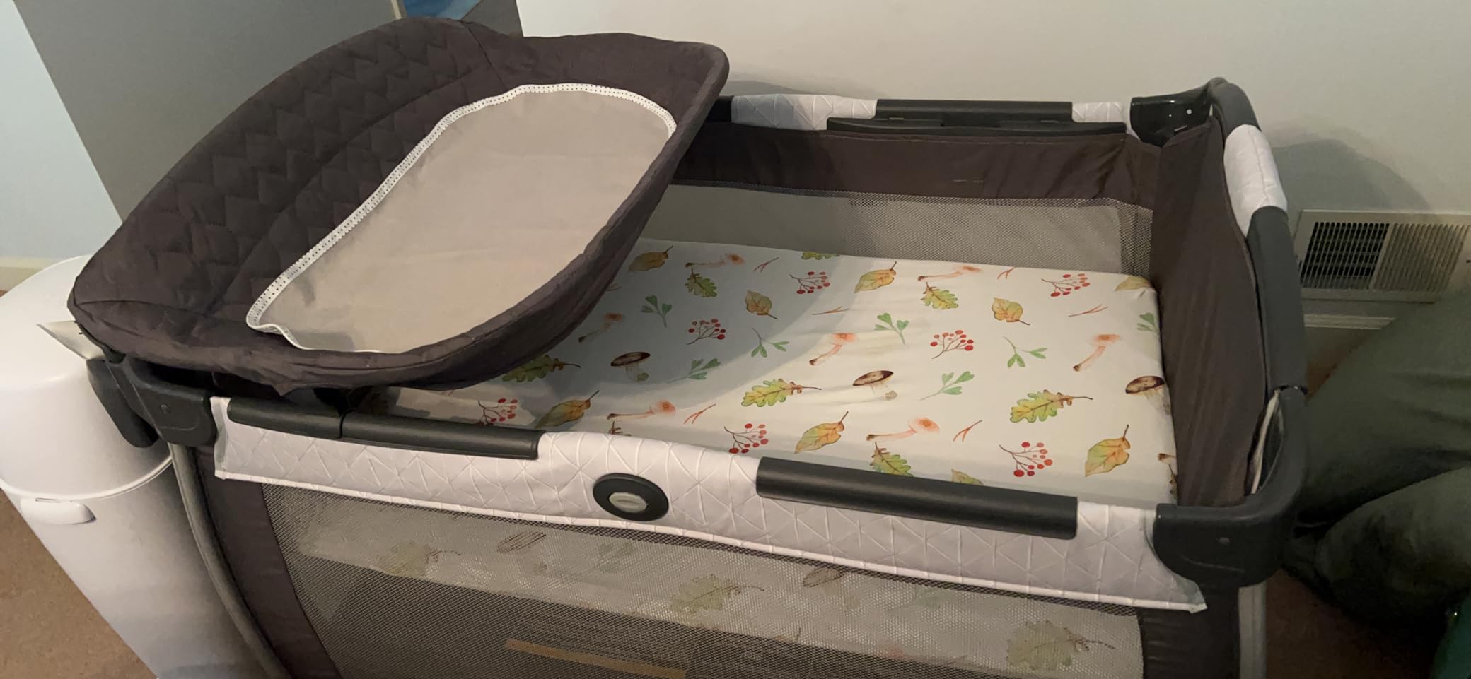 Graco Pack 'n Play Close2Baby Bassinet Playard customer photo 2