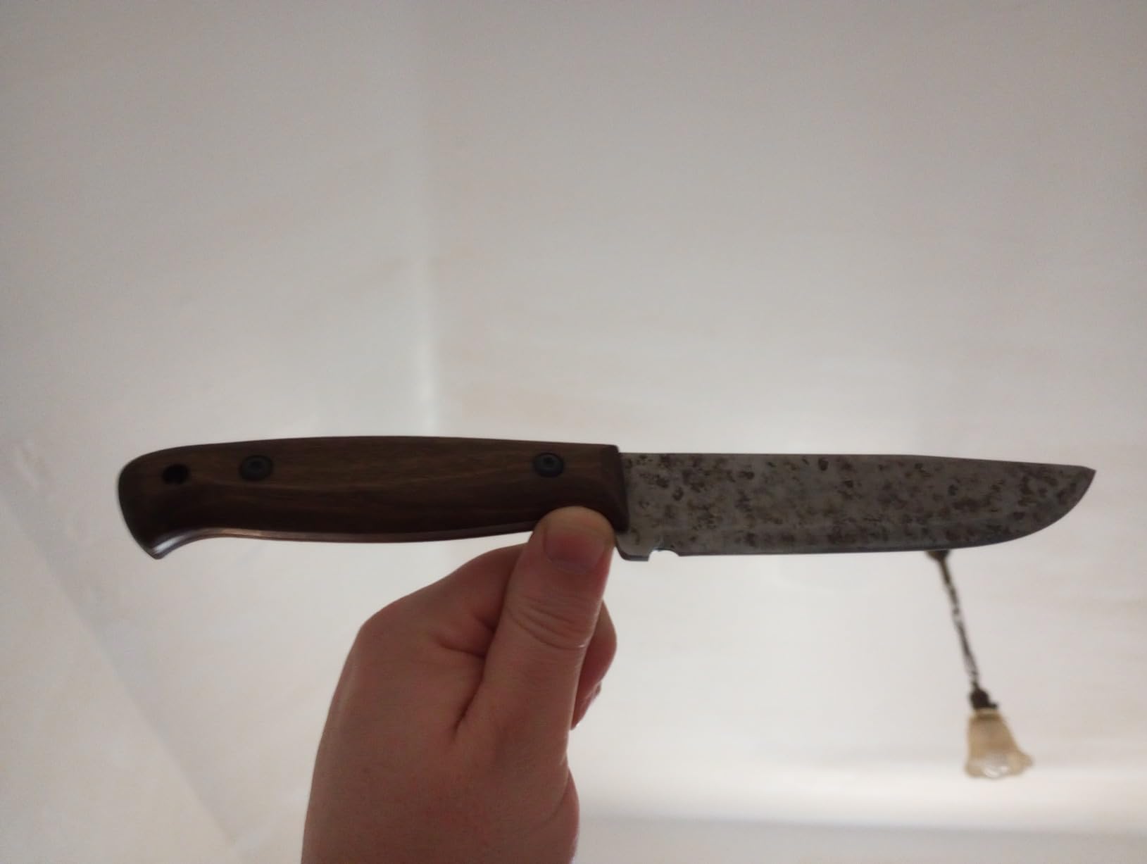 BPSKNIVES Adventurer - Bushcraft Knife - Fixed-Blade Carbon Steel Knife with Leather Sheath and Firestarter customer photo 2