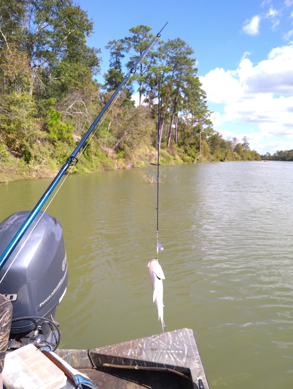 St. Croix Rods Triumph Casting Rod, TCR customer photo 1