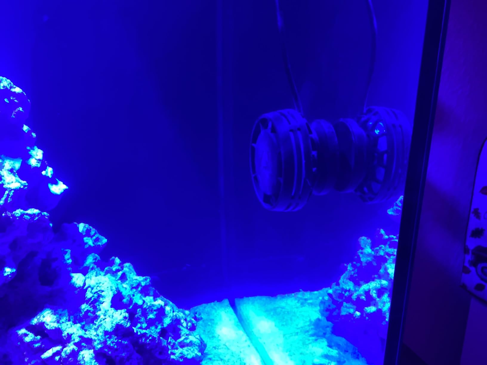 AquaIllumination AI Nero 3 Submersible Wavemaker Pump with Fish Guard, 2,000 GPH Powerful Water Flow for Saltwater & Reef Aquariums, Compact Quiet Pump with Magnetic Mount customer photo 2