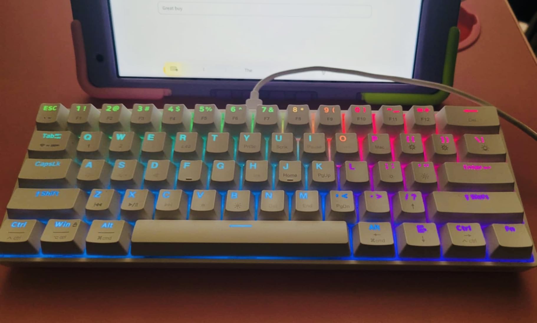 Newmen GM610 60% Wireless Mechanical Keyboard, Wired/Bluetooth/2.4G RGB Backlit, 61 Anti-Ghosting Keys, Programmable, Hot-Swappable Gaming Keyboard, for PC Windows Mac Laptop Computer (Linear Red Switch) customer photo 2
