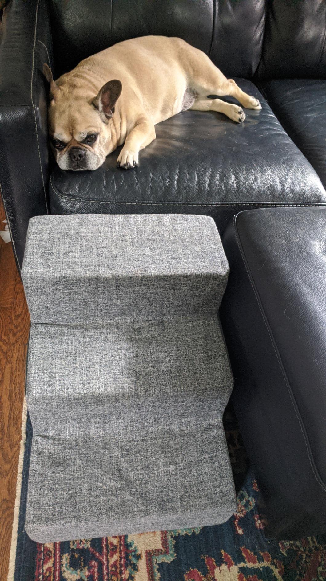 Best Pet Supplies Non-Slip Foam Dog Stair & Pet Ramp, Balanced Indoor Step Support - Foldable Stair, Brown Linen, 2-Step customer photo 1