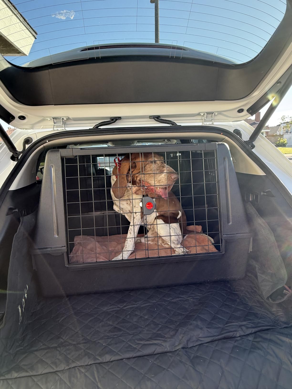 Ferplast Atlas Vehicle SUV Dog Crate, Assembled Car Dog Crate Measures 39L x 23W x 26H, Ideal for Medium to Intermediate Dog Breeds customer photo 2