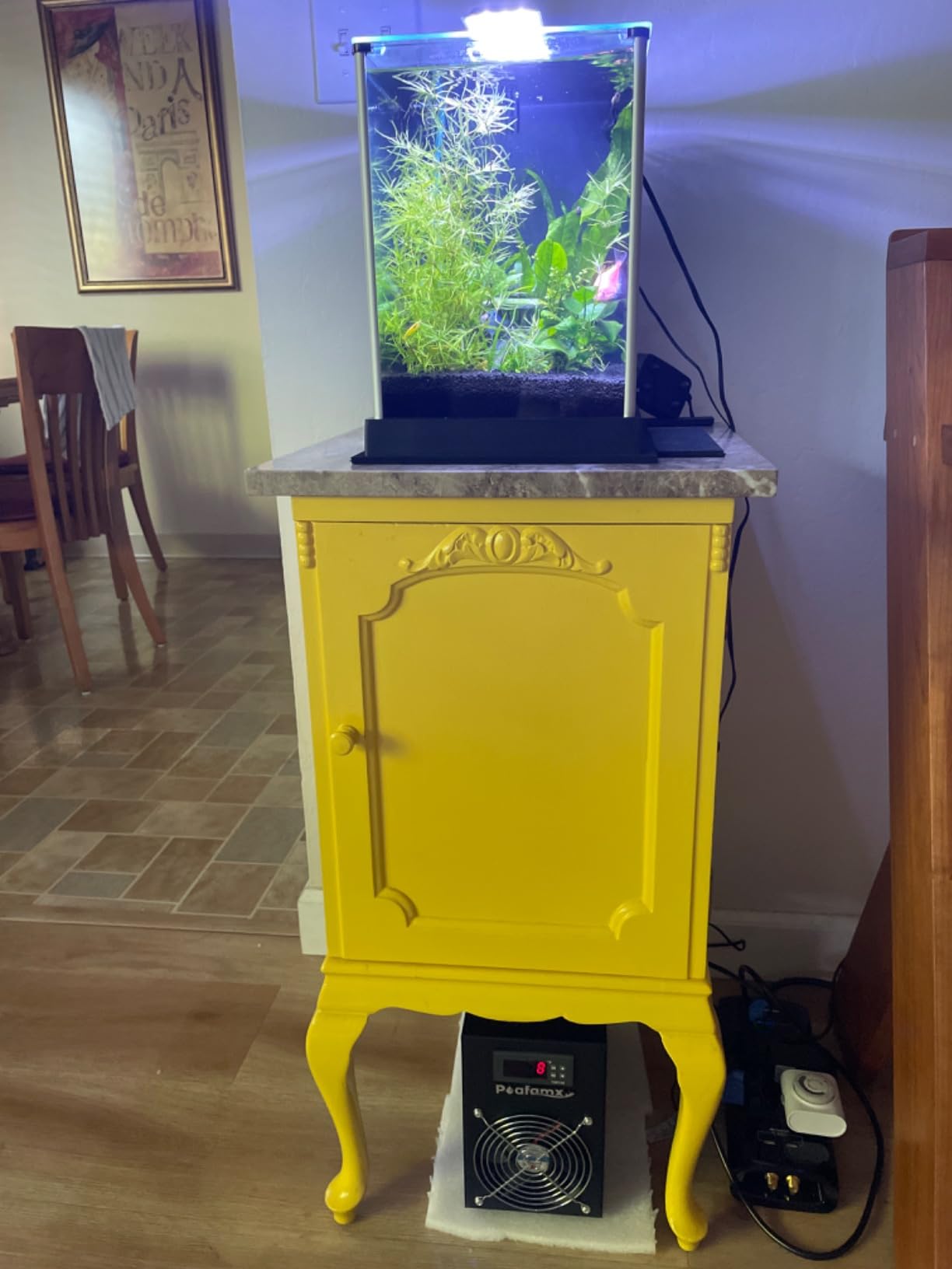 Poafamx 16gal Aquarium Chiller Small Water Chiller for Househod Fish Tanks Coral Crystal Shrimp 110V with Pump customer photo 1