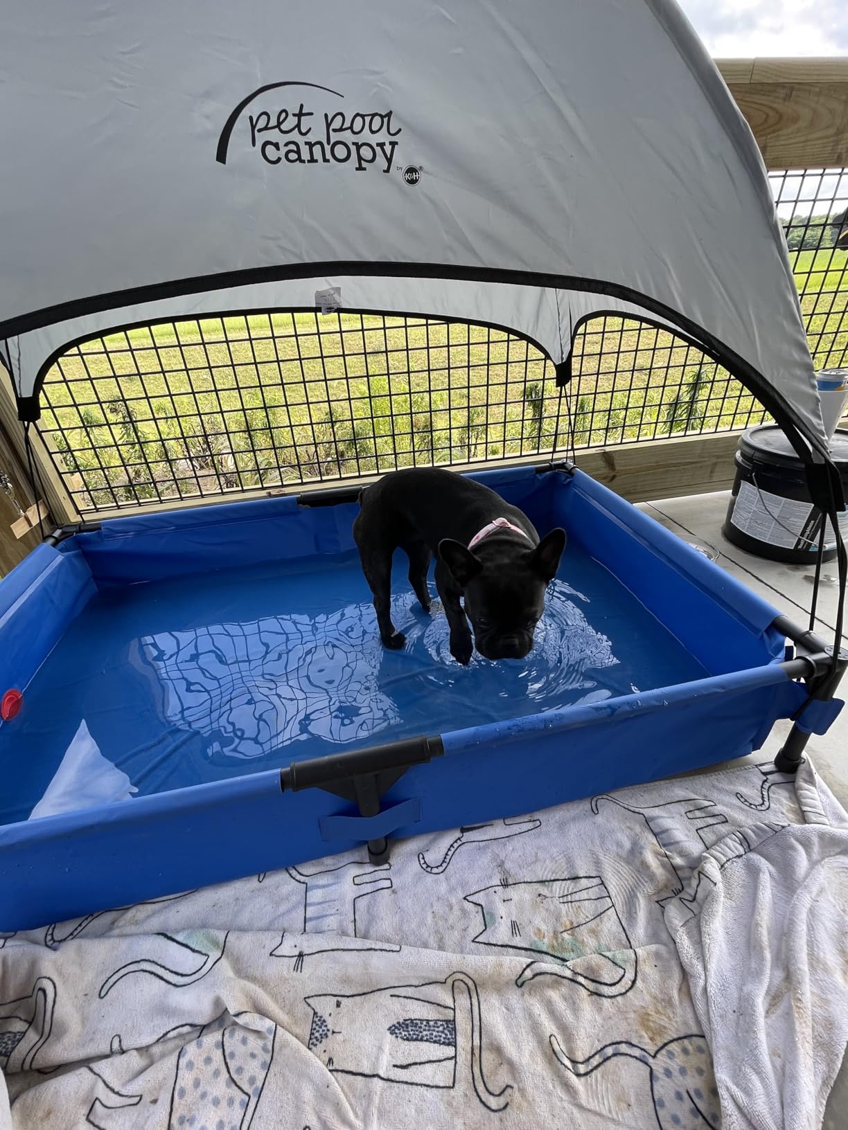 K&H Pet Products Portable Dog Pool & Pet Bath for Dogs and Puppies, Swimming Pool for Large Pets, Heavy Duty Liner with Metal Frame, Easy Drain Plug, Foldable - Large 42 X 30 X 7in Chill Blue customer photo 2