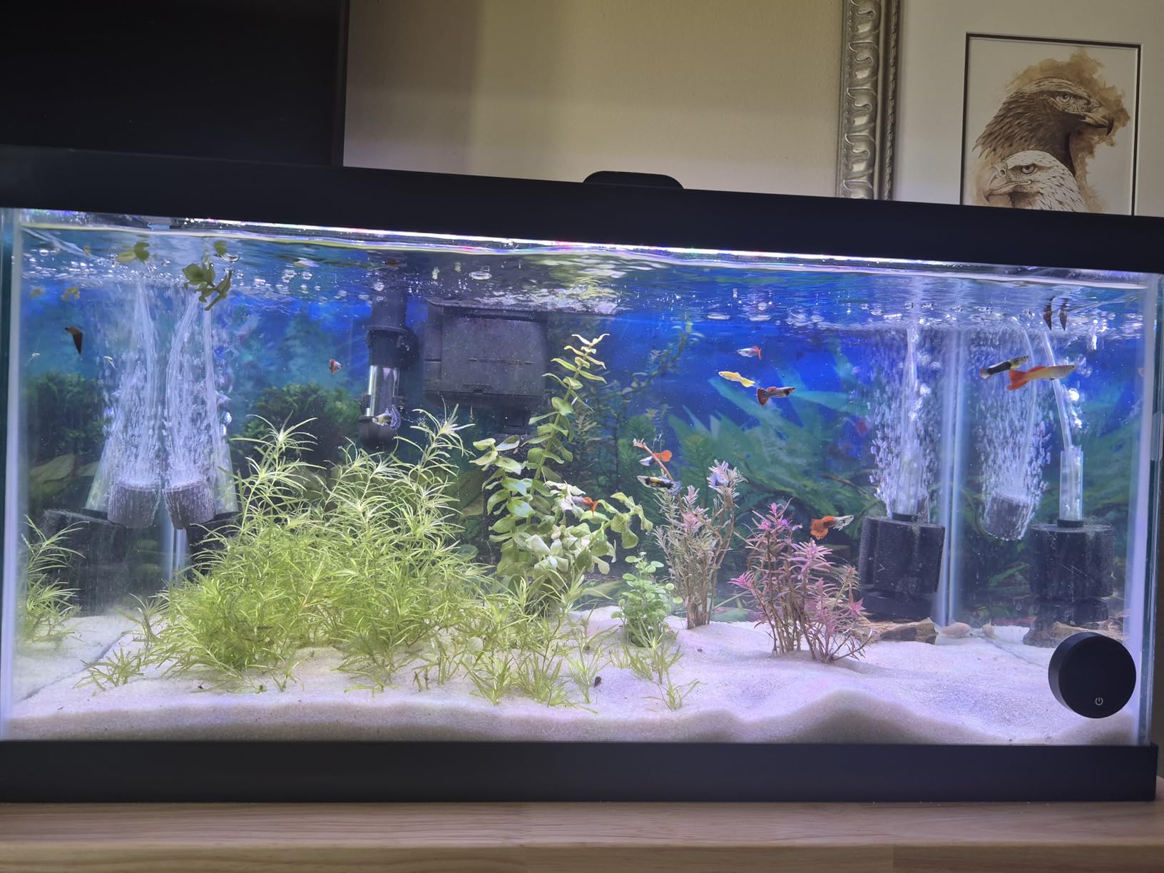 Tetra Water Cleaner Gravel Siphon for Aquariums, Easily Clean Freshwater Aquariums customer photo 2