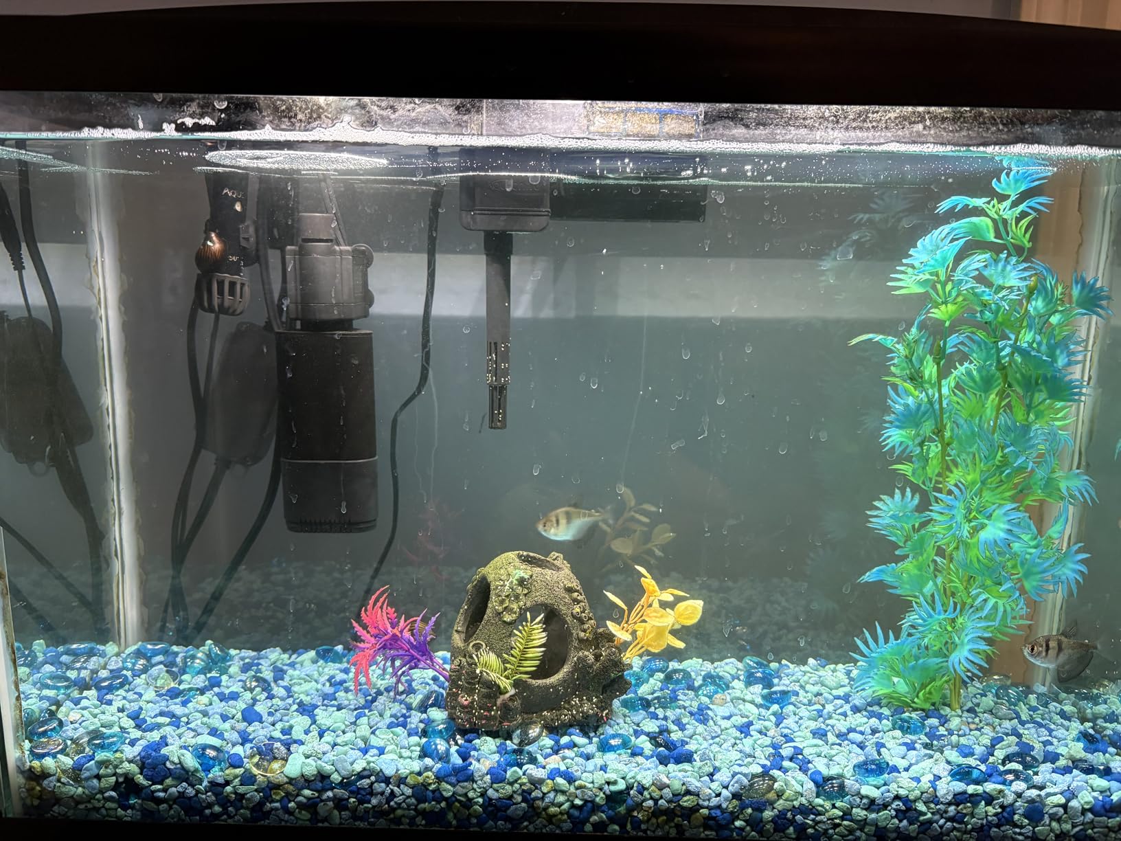 AA GKM3W Mini Internal UV Sterilizer for Aquariums customer photo 2