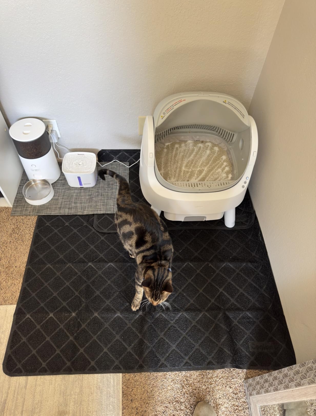 Conlun Cat Litter Mat Litter Trapping Mat, Premium Durable PVC Grid Mesh with Scatter Control, Non-slip, Less Waste Cat Litter Box Mat, Soft on Kitty's Paws, Urine Waterproof, 24