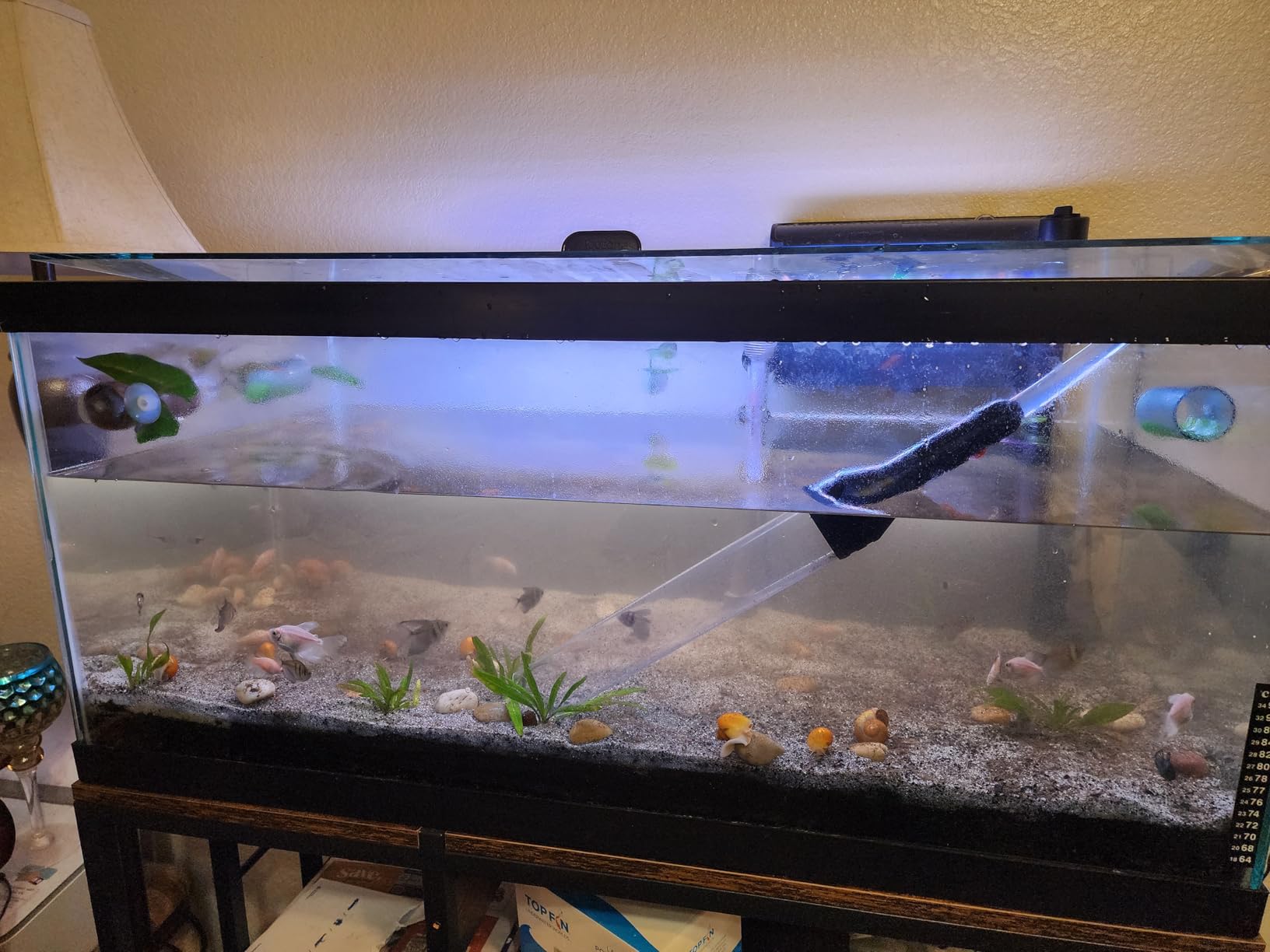 enomol Gravel Vacuum for Aquarium Water Changer Fish Tank Cleaning Tools, Siphon Universal Quick Pump Aquarium Water Changing (30ft) customer photo 1