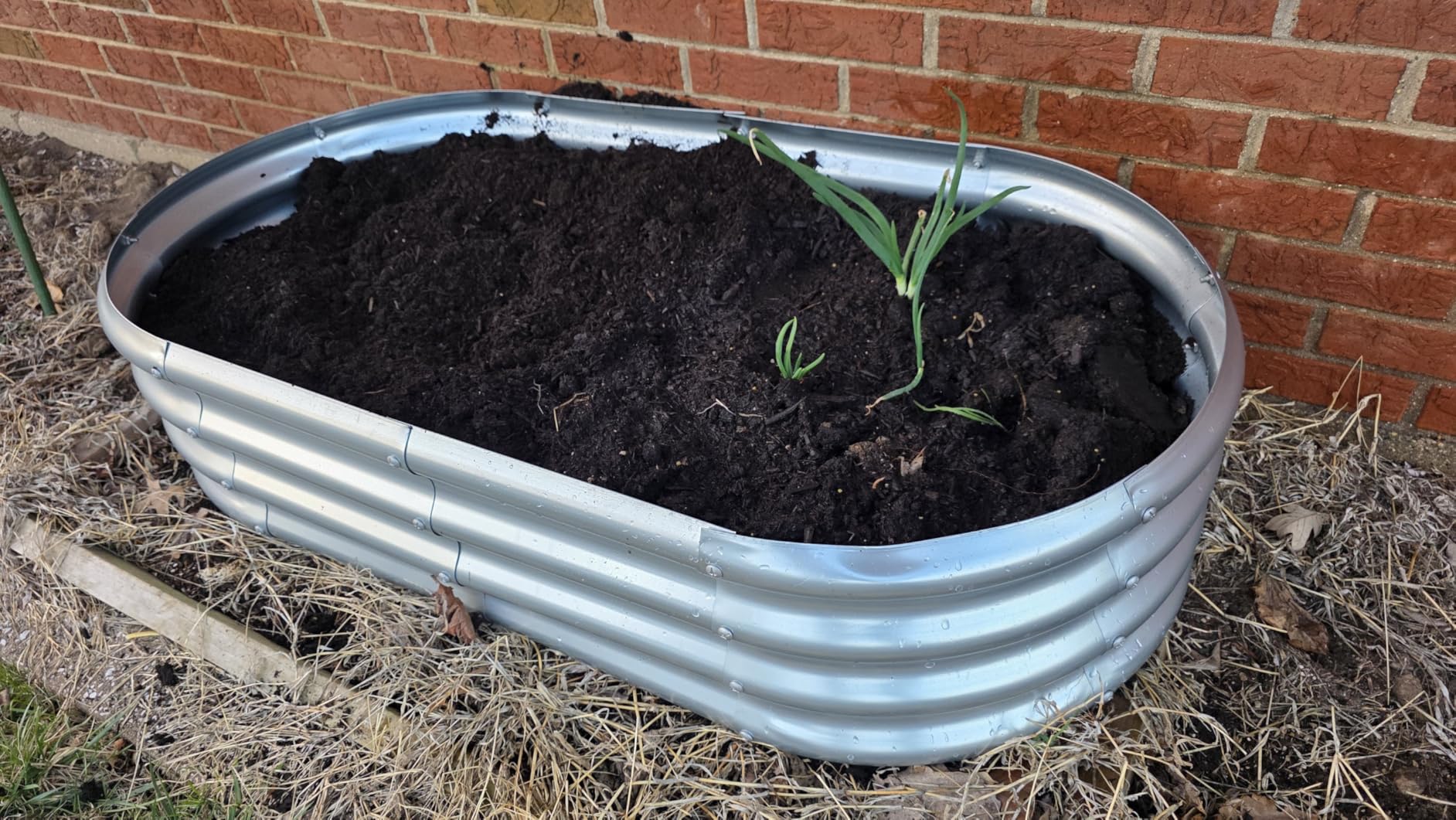 Land Guard Galvanized Raised Garden Bed Kit, Oval Large Metal Raised Garden Beds for Vegetables customer photo 1