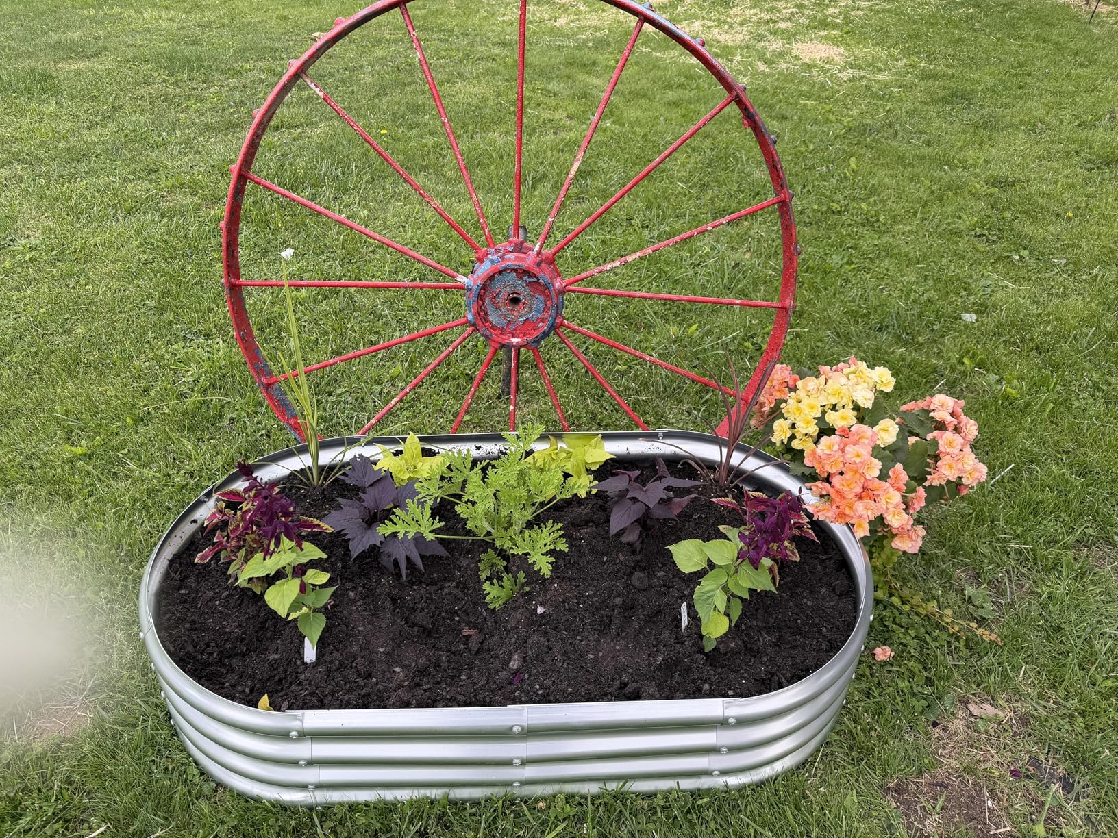 Land Guard Galvanized Raised Garden Bed Kit, Oval Large Metal Raised Garden Beds for Vegetables customer photo 2