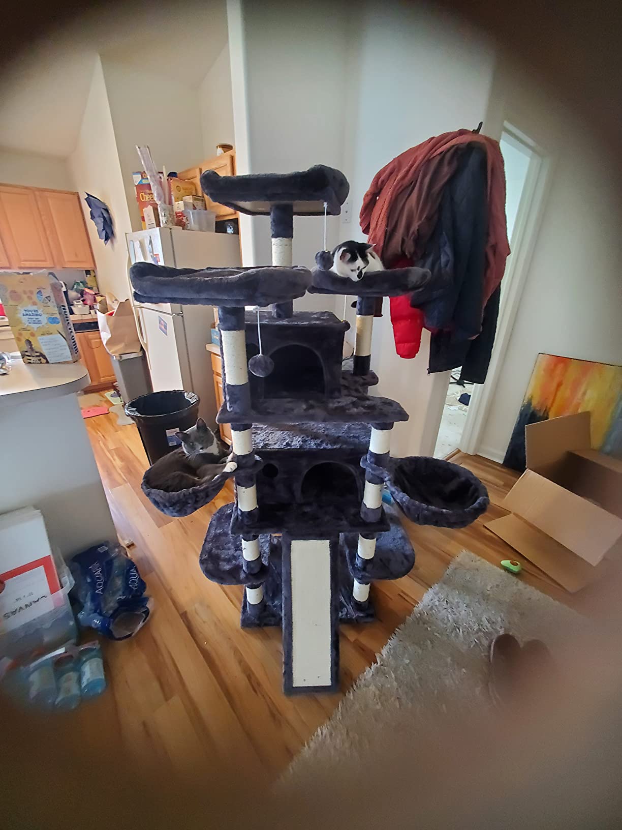 IMUsee 68 Inches Multi-Level Large Cat Tree for Large Kitties/Big Cat Tower with Condo/Cozy Plush Perches/Sisal Scratching Posts and Hammocks/ Feline Activity Center Play House/Grey customer photo 2