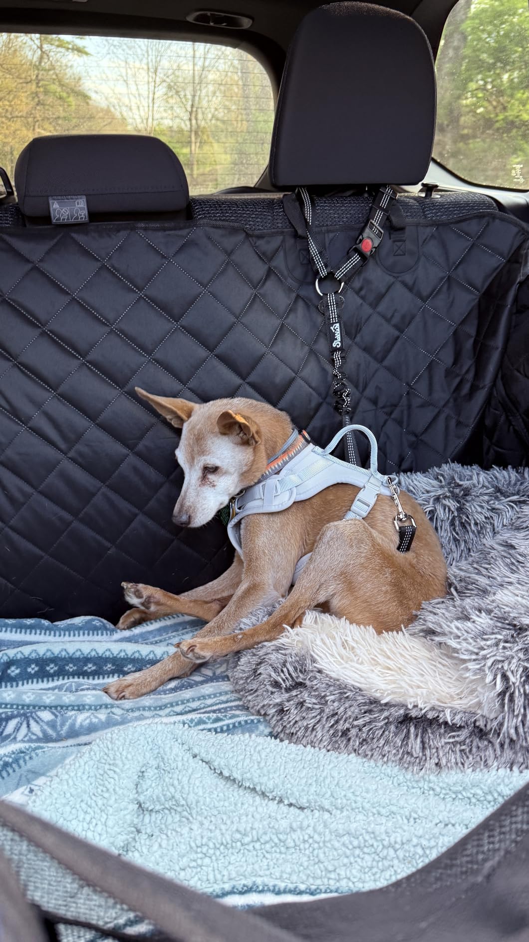 SlowTon Dog Seat Belt for Car, 2 Pack Dog Car Harness Seatbelt Adjustable with Elastic Bungee Buffer, 2 in 1 Pet Car Leash Headrest Restraint Dog Reflective Safety Tether (Black, Headrest+Clip) customer photo 1