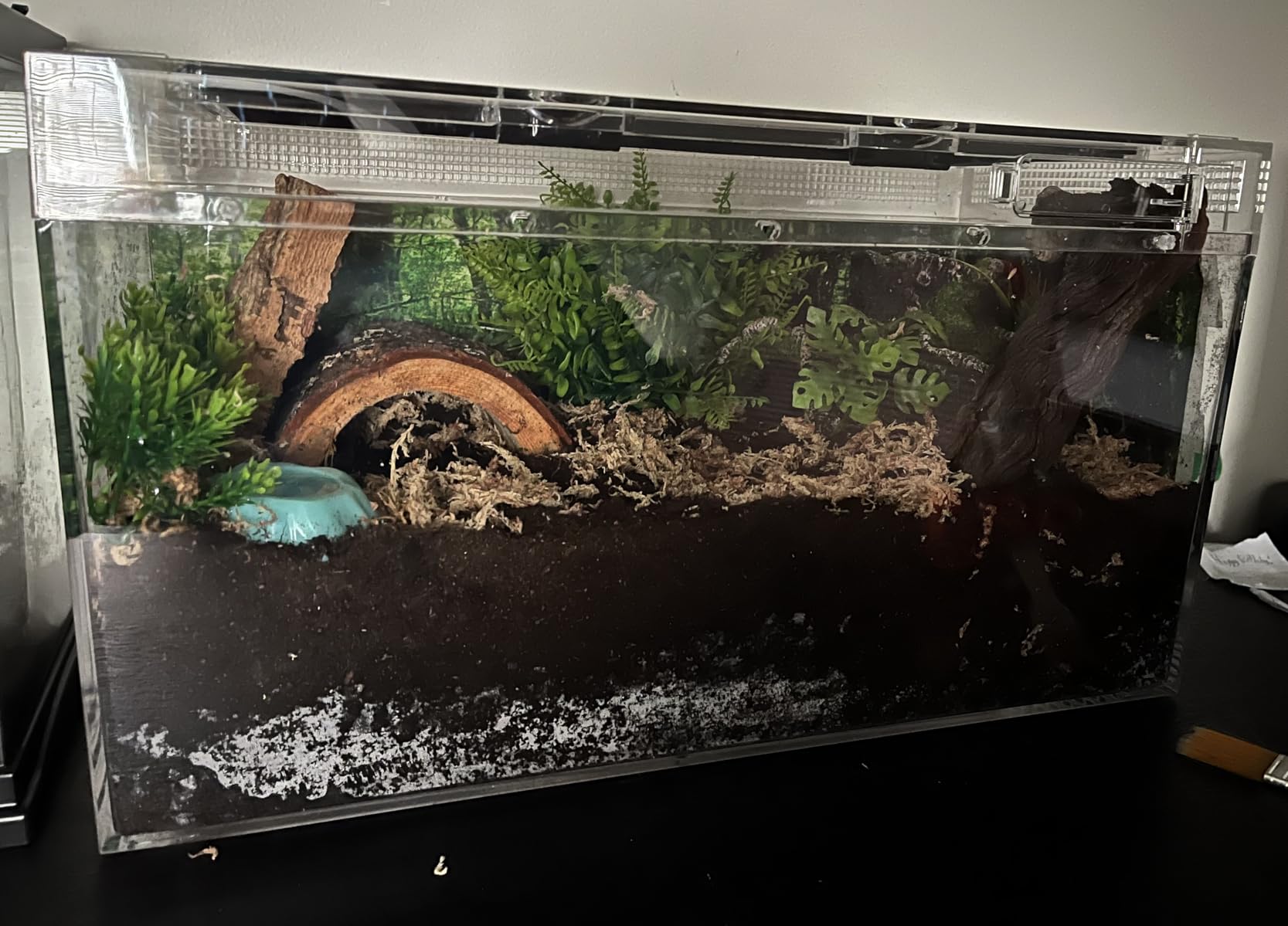 Reptile Growth Reptile Terrarium, 10 Gallon Reptile Tank 20