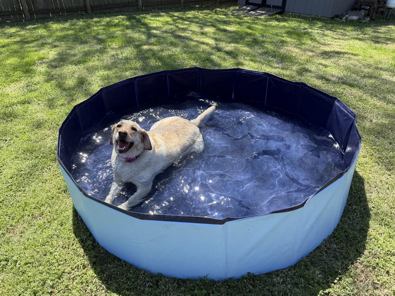 VISTOP Extra Large Foldable Dog Pool XXL, Hard Plastic Shell Portable Swimming Pool for Dogs Cats and Kids Pet Puppy Bathing Tub Collapsible Kiddie Pool (67inch.D x 11.8inch.H, Blue) customer photo 1
