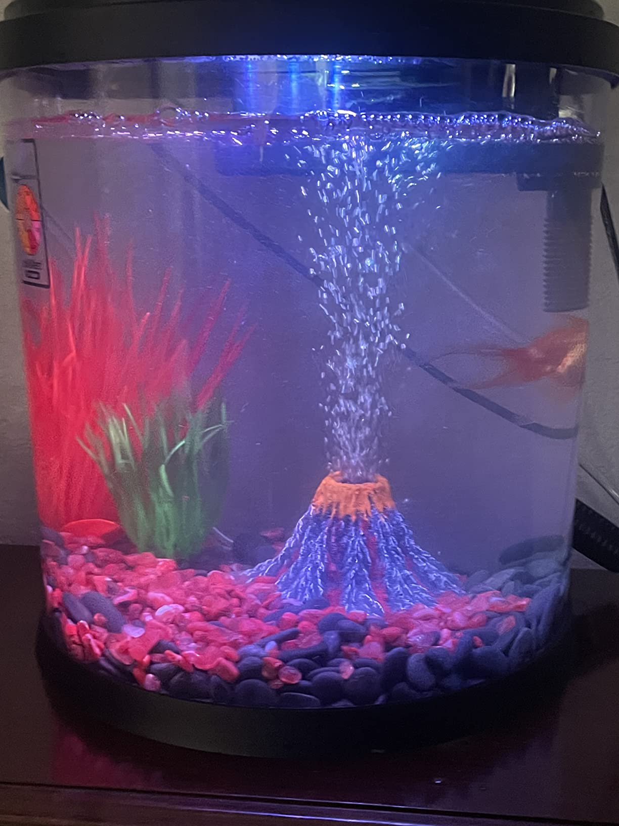 hygger Small Gravel Vacuum for Aquarium, Manual 80GPH Aquarium Gravel Cleaner Low Water Level Water Changer Fish Tank Cleaner with Pinch or Grip Run in Seconds Suction Ball Adjustable Length customer photo 2