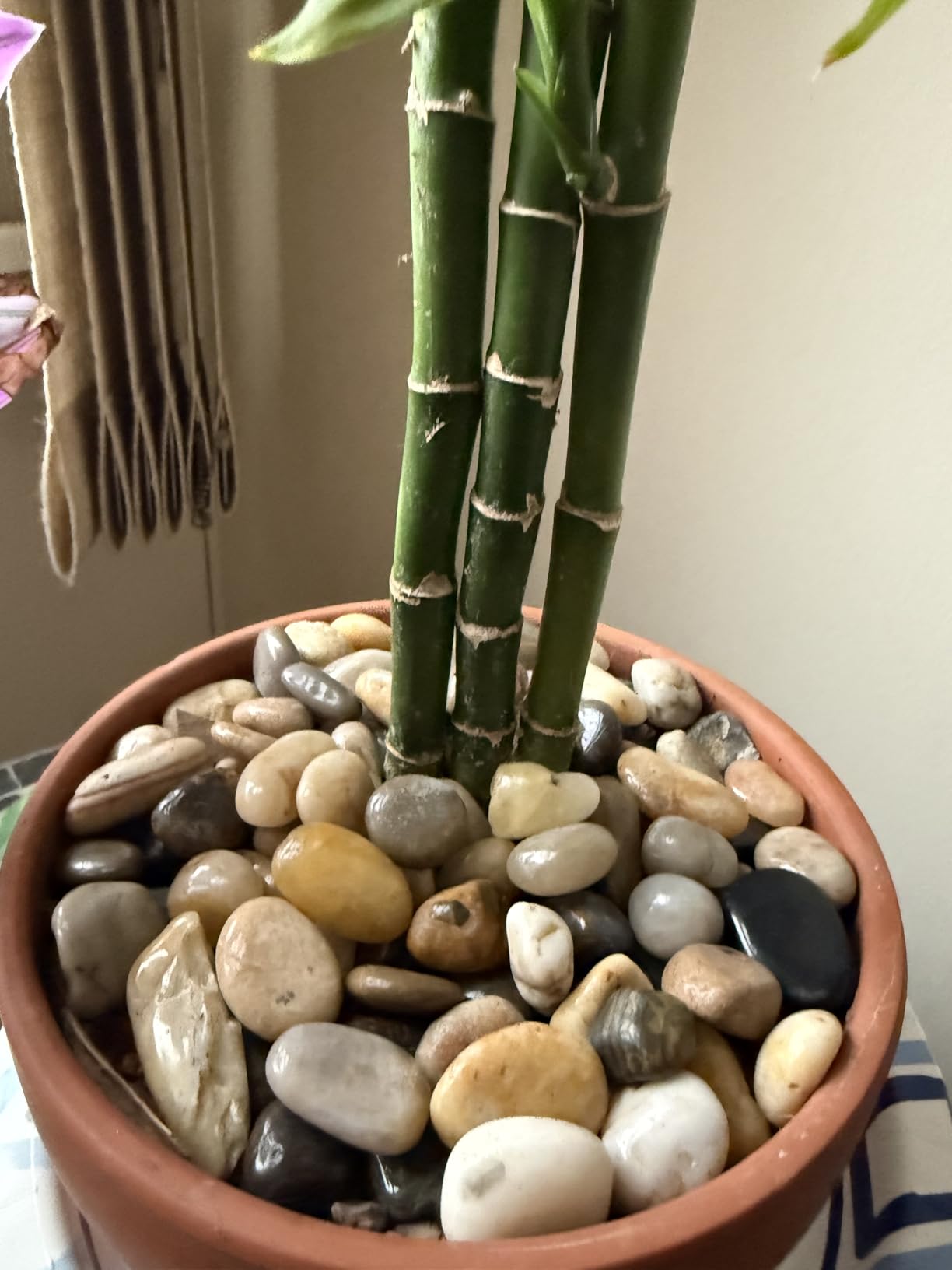 Virekm River Rocks, Decorative Ornamental Pebbles, Garden Landscaping Stones, Gravel Filler for Home Decoration Flower Bed Fish Tank Plants Vases Succulents customer photo 1