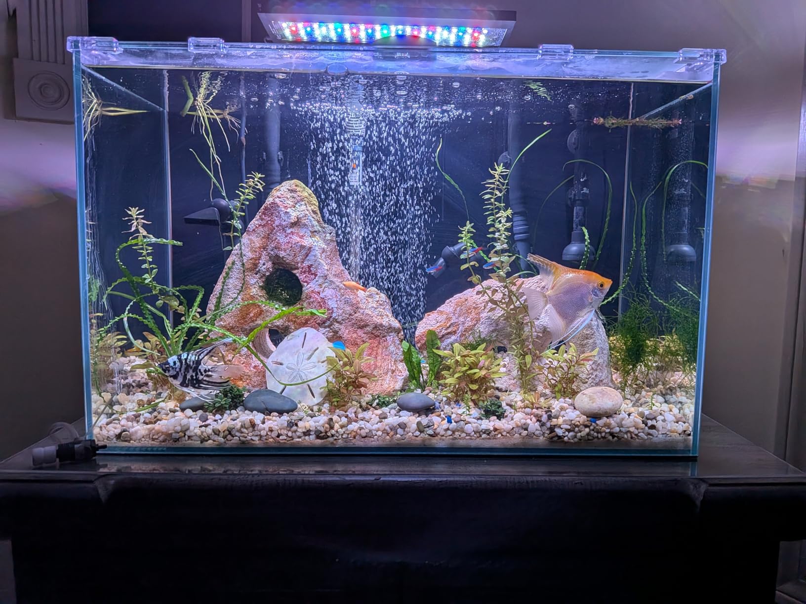 Lifegard Aquatics 5 Gallon Rimless Aquarium, Clear Glass, Ultra Clear Sealant Fish Tank, 5mm Thick with Dense Leveling Mat for Freshwater/Marine, Home or Office Decor (15.74