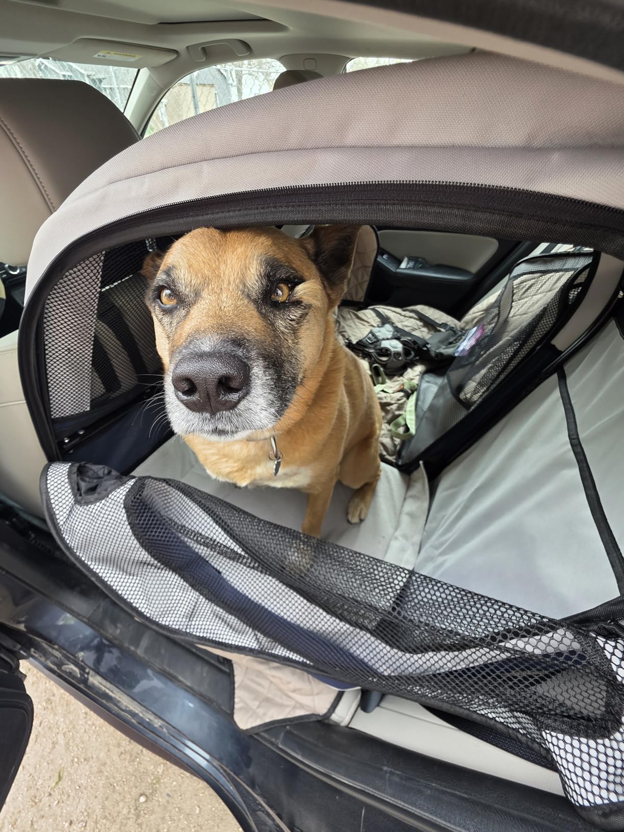 PetSafe Happy Ride Collapsible Dog Car Crate, Foldable Travel Crate for Pets Up to 60 Lbs customer photo 1