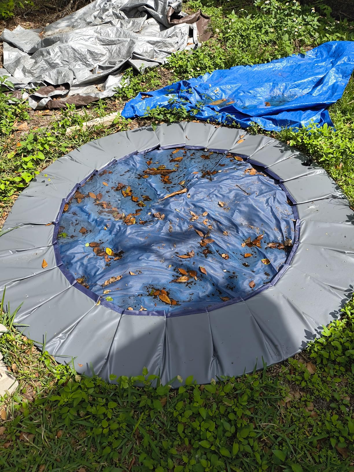 Niubya Foldable Dog Swimming Pool, Collapsible Hard Plastic, Portable Bath Tub for Pets Dogs and Cats, Pet Wading Pool for Indoor and Outdoor, 72 x 12 Inches customer photo 2
