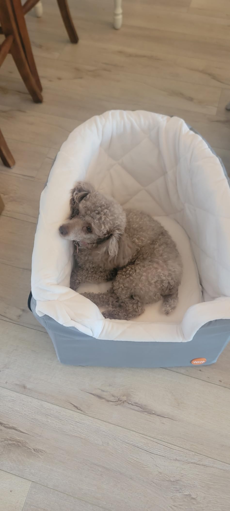 K&H Pet Products Bucket Booster Dog Car Seat for Small Dogs, Seat Belt Secured, 2 Safety Leashes, Washable Covers, Sturdy Pet Booster Seats for Traveling with Pets customer photo 1