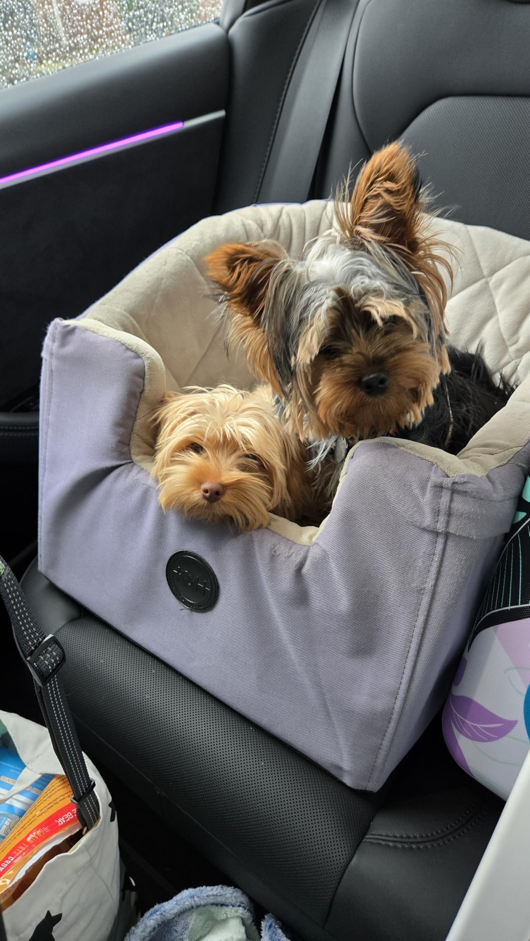 K&H Pet Products Bucket Booster Dog Car Seat for Small Dogs, Seat Belt Secured, 2 Safety Leashes, Washable Covers, Sturdy Pet Booster Seats for Traveling with Pets customer photo 2