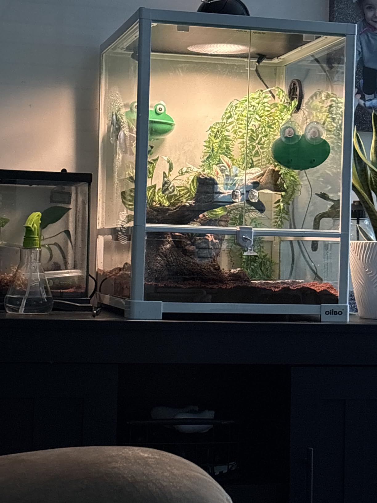 Full Glass Long Tank Reptile Terrarium 20 Gallon, Front Opening Terrarium 30