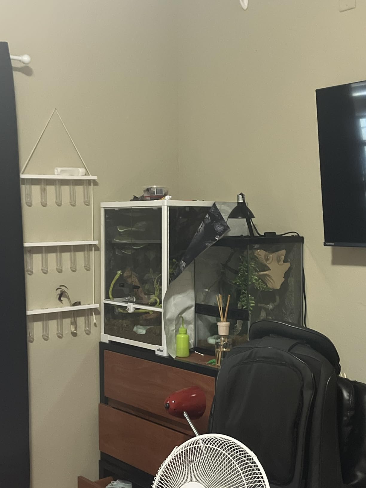 Full Glass Long Tank Reptile Terrarium 20 Gallon, Front Opening Terrarium 30