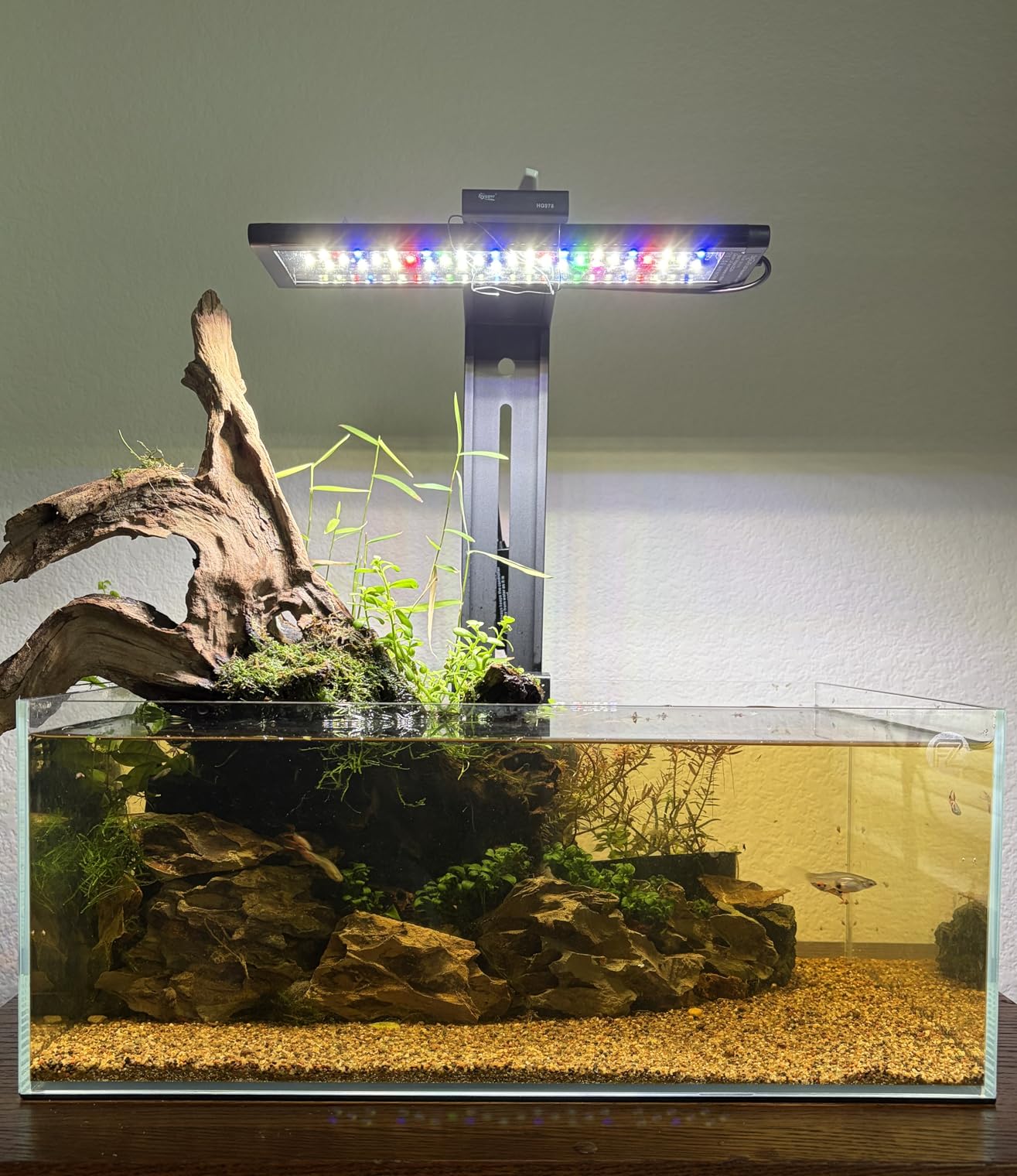 Fzone 2 Gal Nano Rimless Aquarium Low Iron Fish Tank NovaClear Ultra-White Translucent Glass Verso Series Nano Shallow Pond Levitating Floating Air Aquarium(A16-H30) customer photo 1