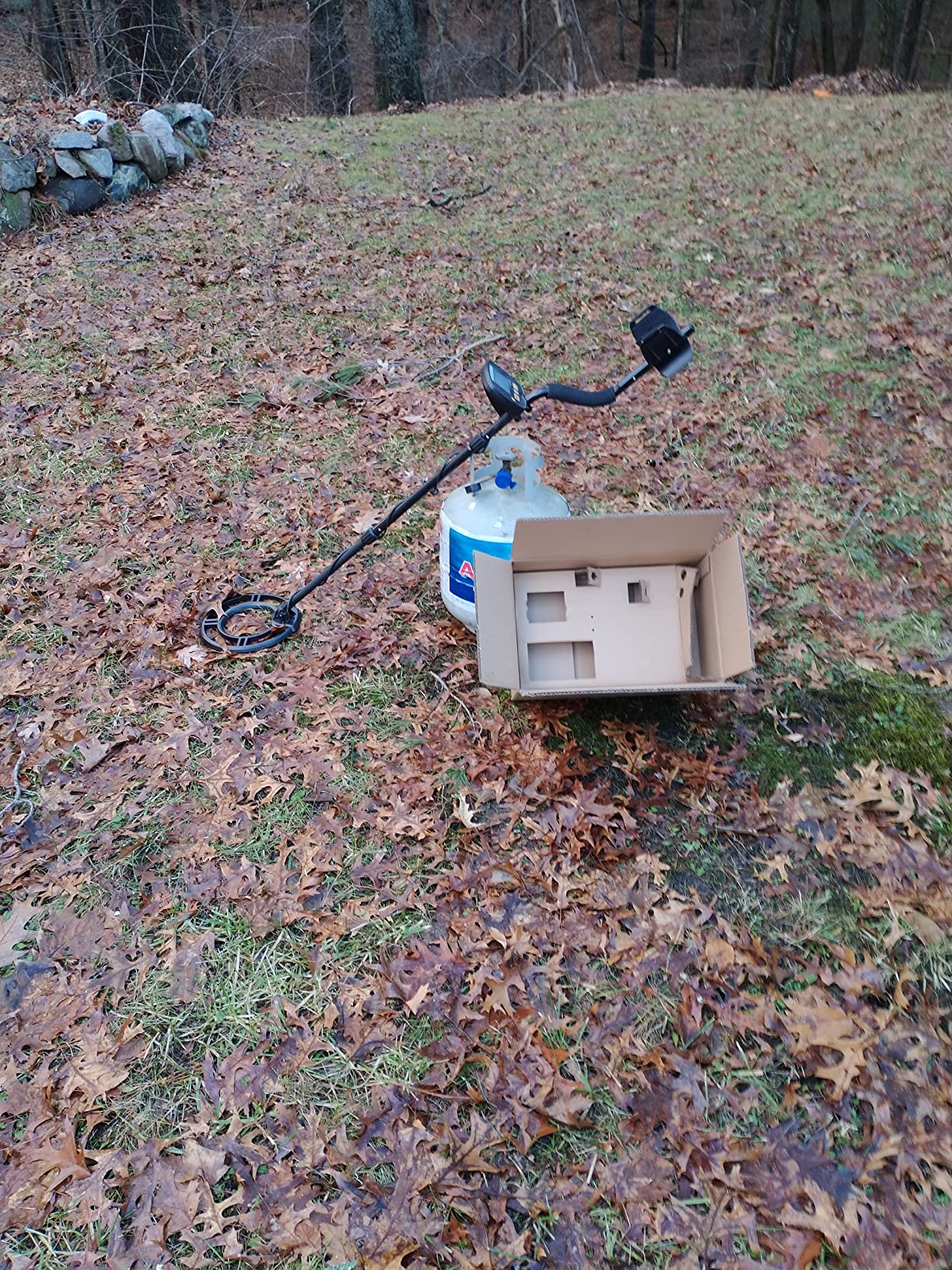 Upgraded Metal Detector for Adults Professional - High Accuracy Gold Finder with DSP Chip & 10