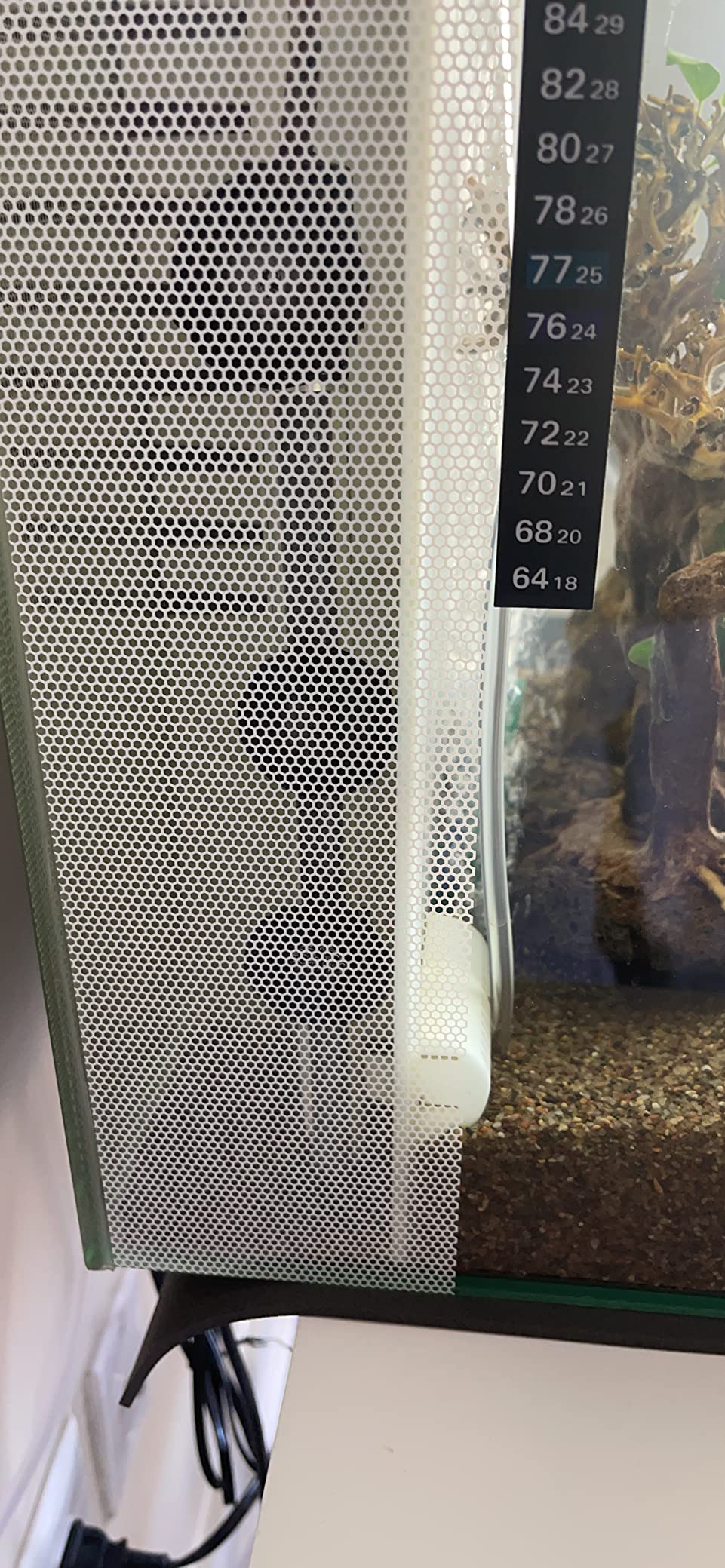 HITOP Compact Submersible Aquarium Heater -100w Digital Heater for Fish Tank Turtle Tank, for Saltwater and Fresh Water with Temperature Controller customer photo 1