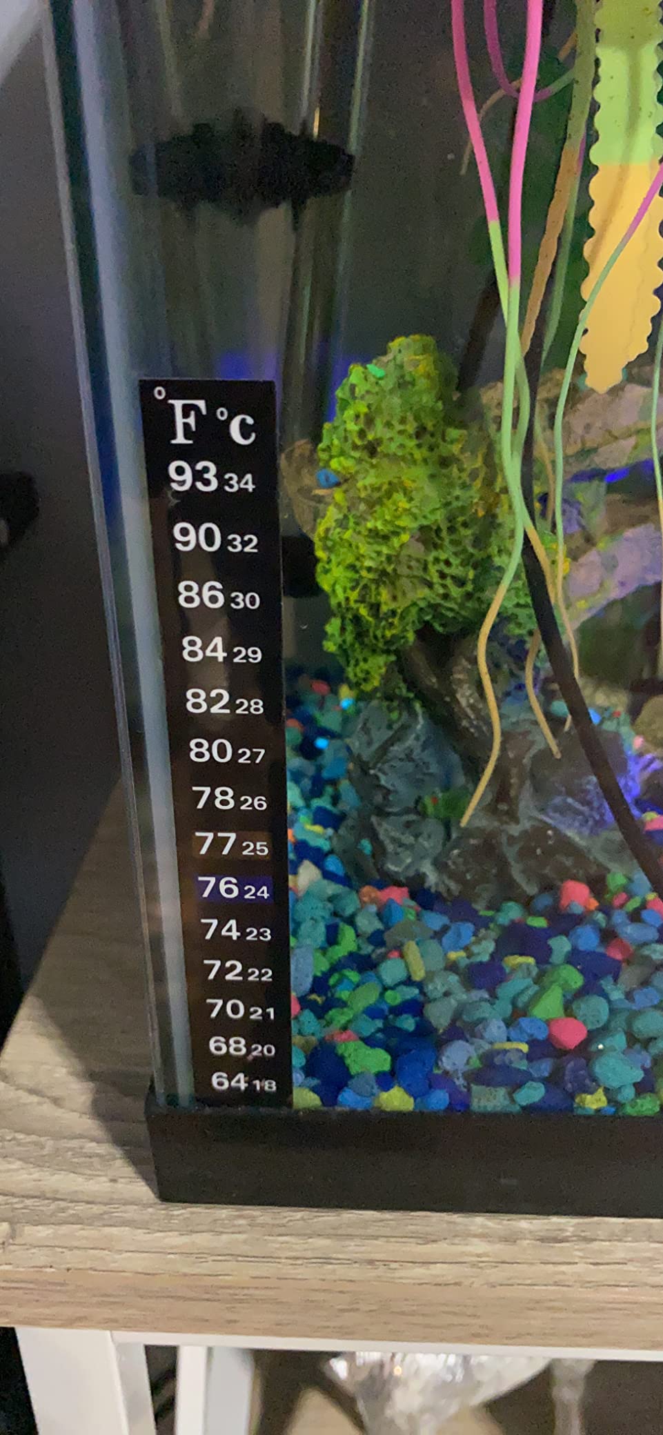 HITOP Compact Submersible Aquarium Heater -100w Digital Heater for Fish Tank Turtle Tank, for Saltwater and Fresh Water with Temperature Controller customer photo 2