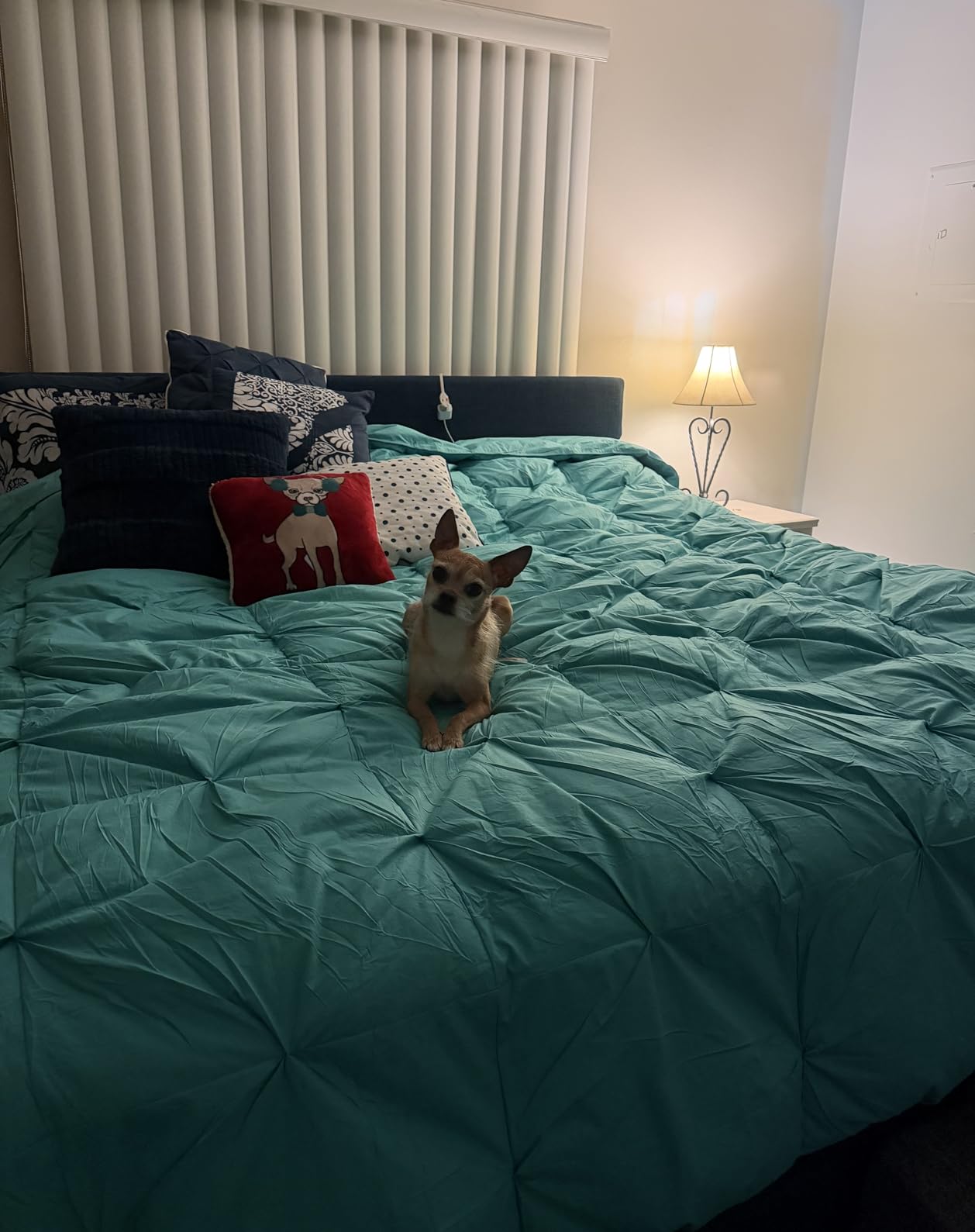 Three Geese Pinch Pleat Waterfowl Feathers and Down Comforter Queen Size Duvet Insert, 1200TC 100% Cotton Fabric, Premium All Seasons BlackGrey Warm Hotel Comforter with 8 Tabs customer photo 2