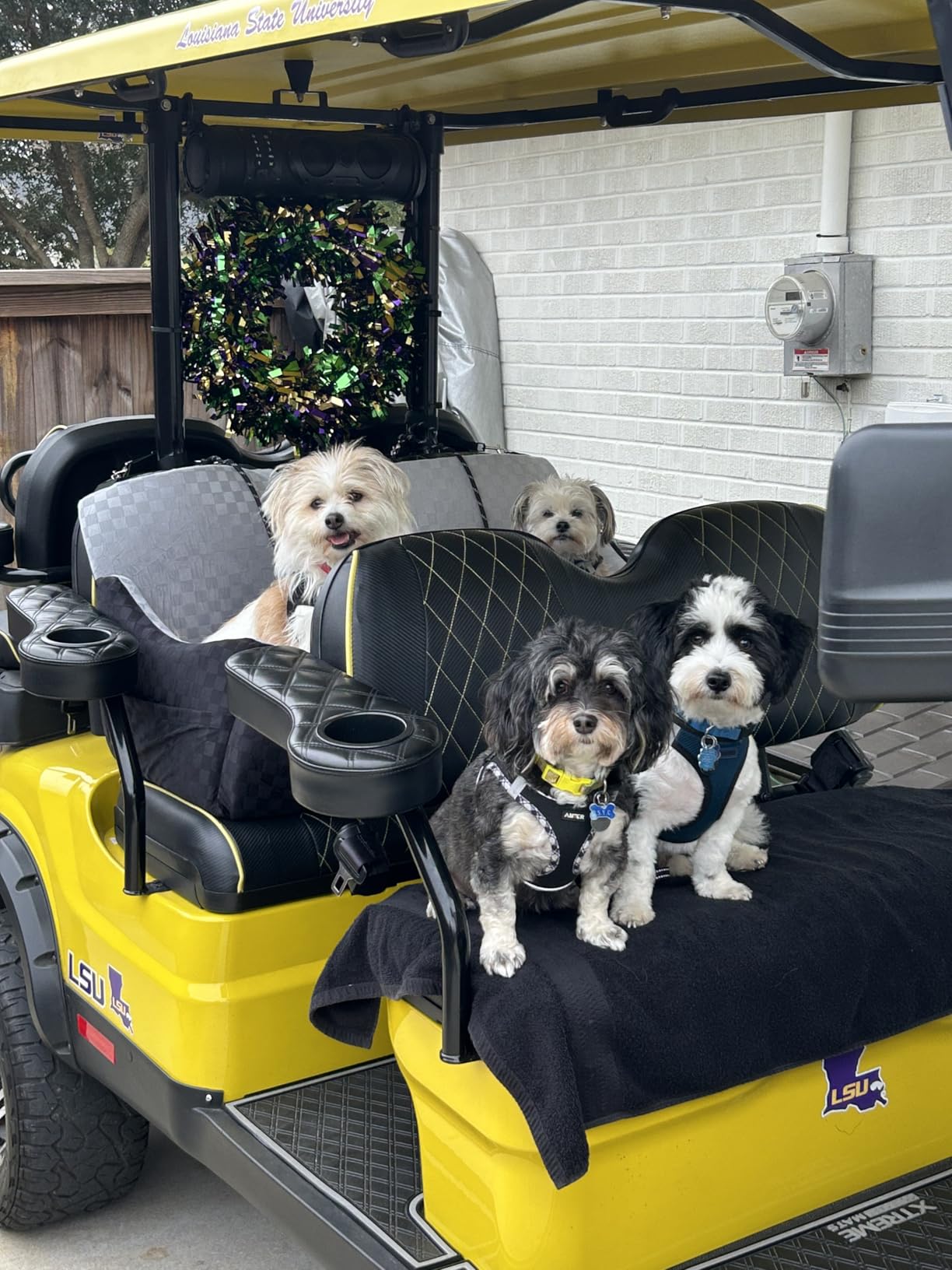 2 Pack Dog Seat Belt Adjustable Dog Car Seatbelts for Vehicle Nylon Pet Safety Seat Belt with Elastic Bungee Buffer Reflective & Durable Car Harness for Dogs customer photo 1
