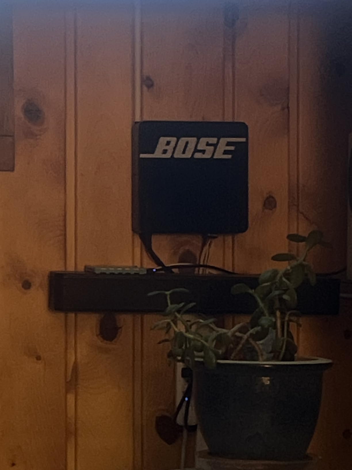 Bose Music Amplifier - Speaker amp with Bluetooth & Wi-Fi connectivity customer photo 1
