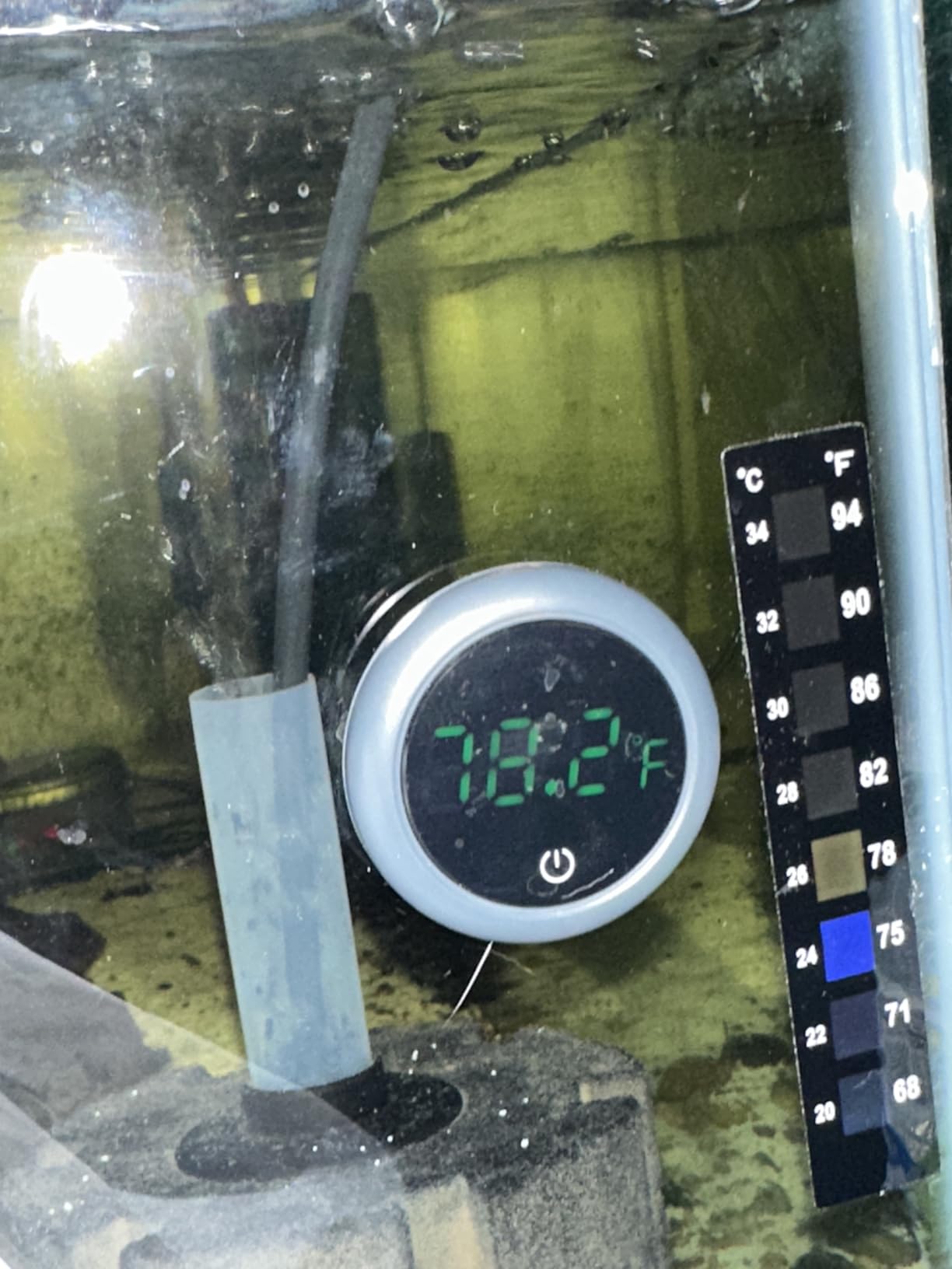 PAIZOO Fish Tank Digital Thermometer Accurate LED Display to ±0.9°F Tank Thermometer Aquarium Temperature Measurement Suitable for Fish, Axolotl, Turtle or Aquatic customer photo 2