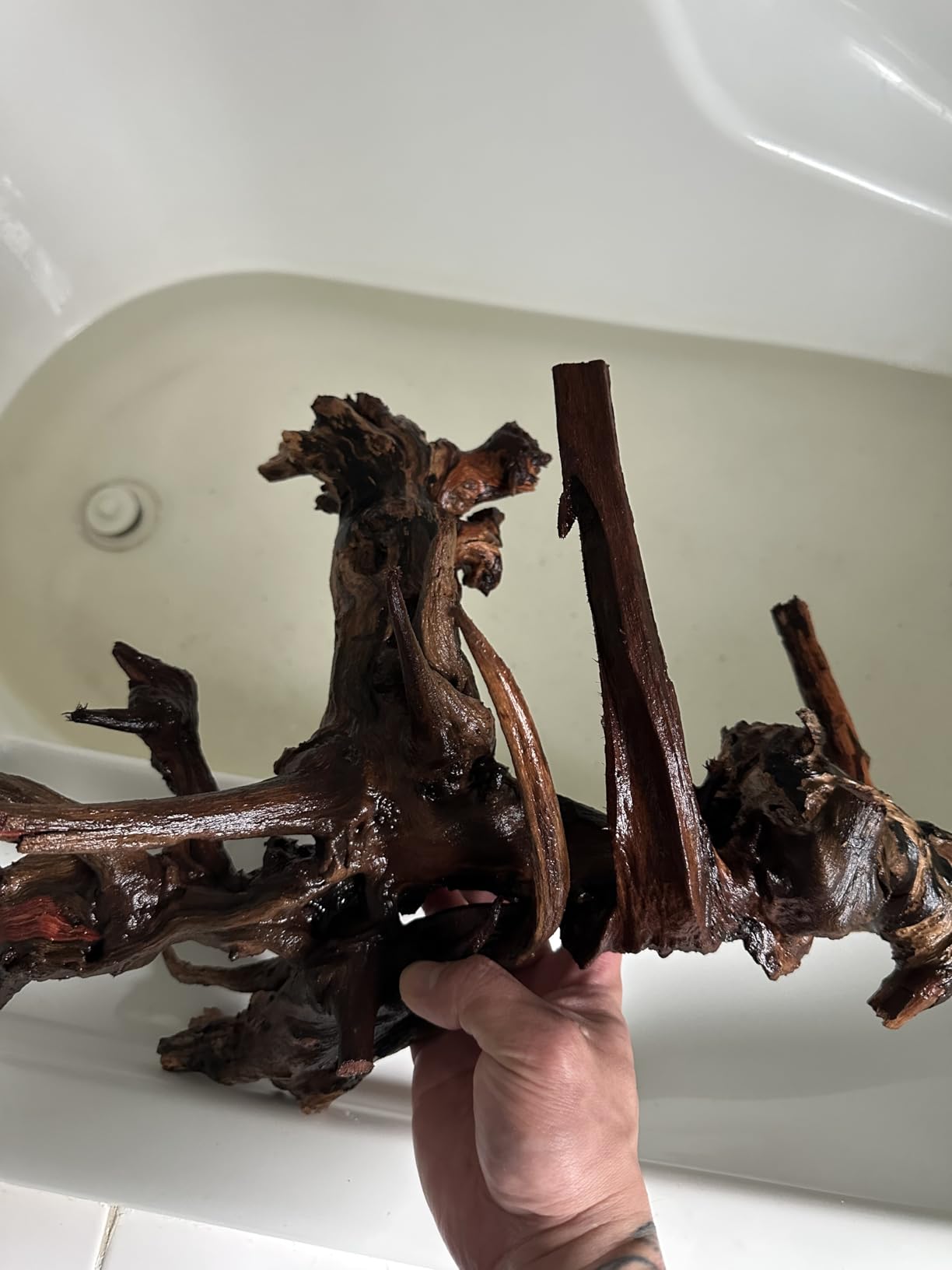 Jorewood Natural Large Aquarium Driftwood for Fish Tanks & Reptile Terrariums - 100% Safe Fish Tank Decorations, 2-Piece 10-14 Inch Unique Twisted Branches Low Tannin, Easy to Sink customer photo 2