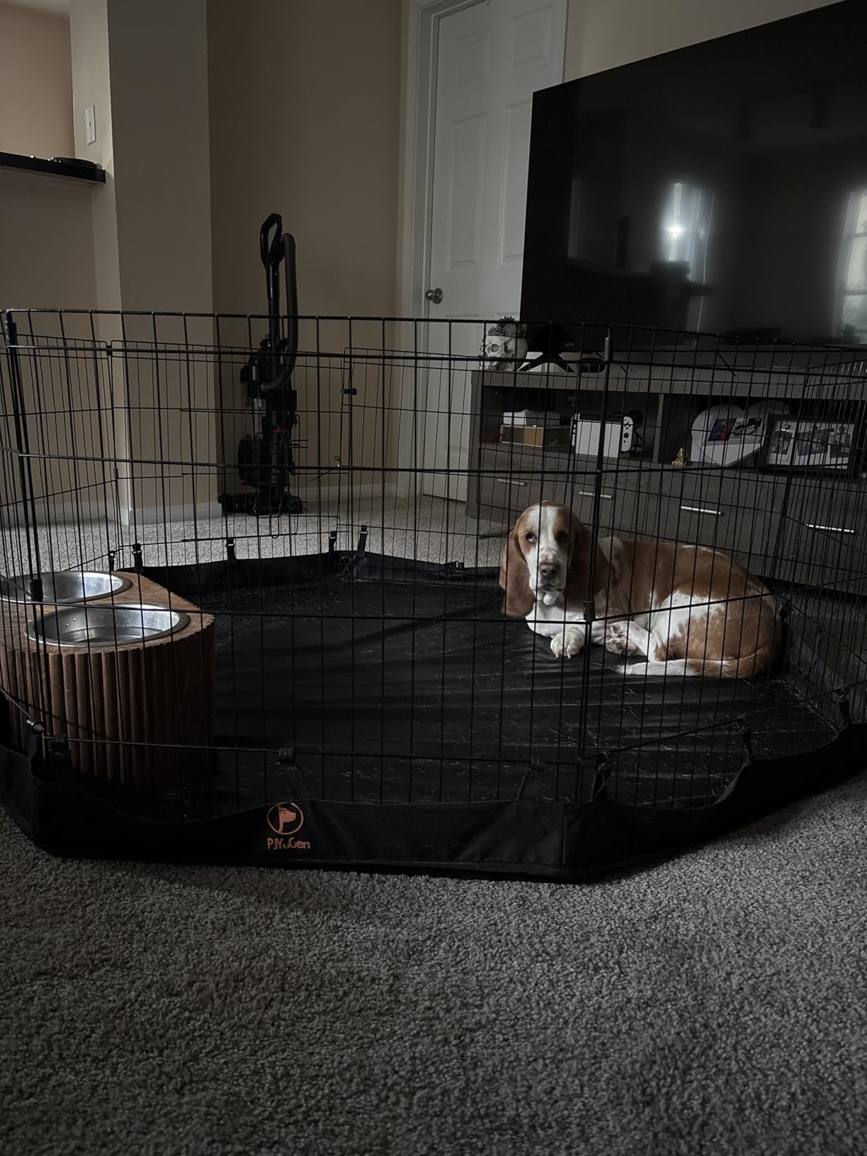 PJYuCien Dog Playpen with Bottom Pad - Metal Foldable Exercise Pen, 8 Panels 24
