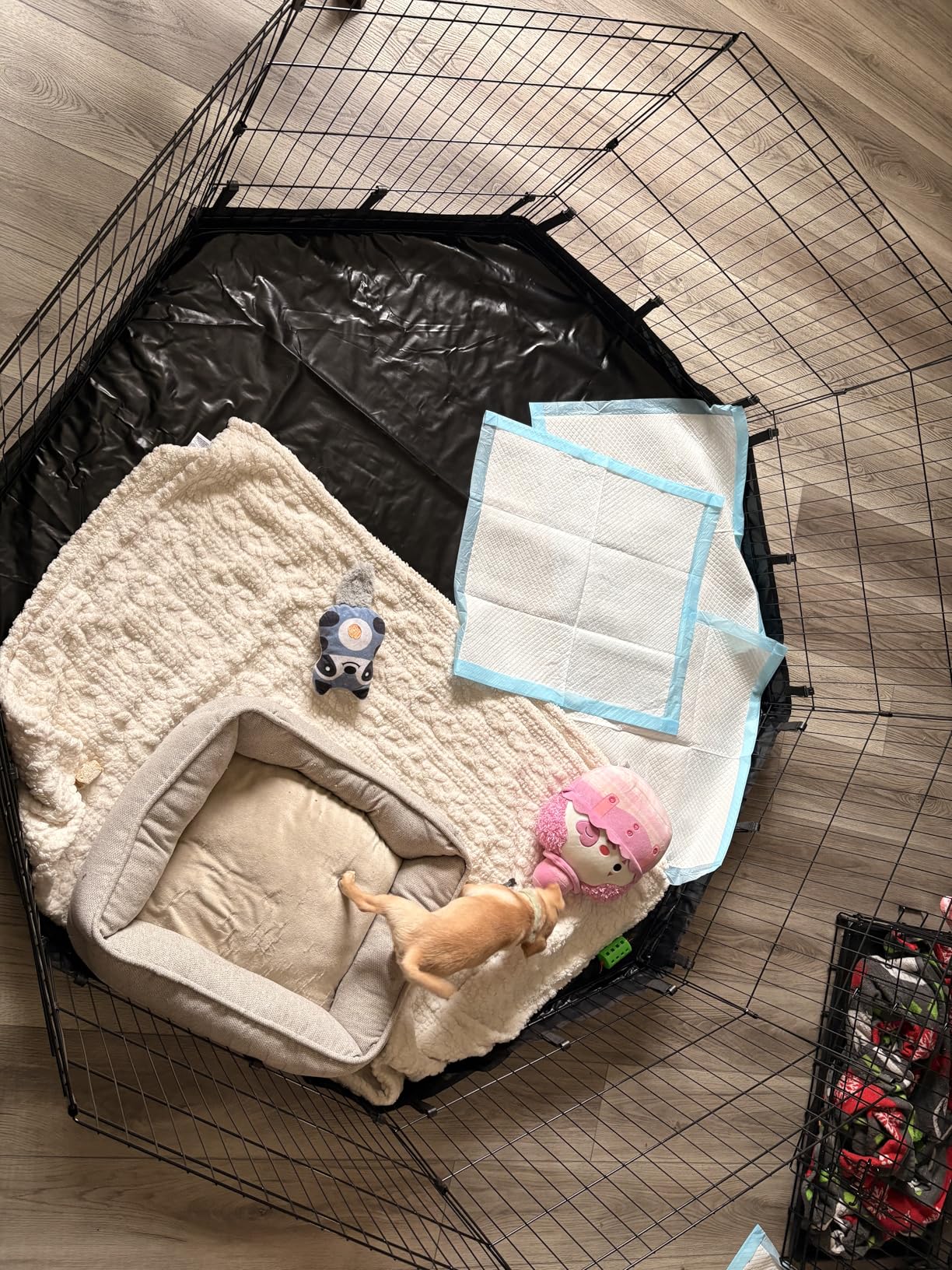 PJYuCien Dog Playpen with Bottom Pad - Metal Foldable Exercise Pen, 8 Panels 24