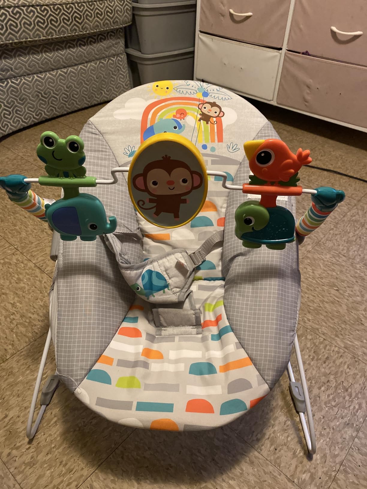 Bright Starts Playful Paradise Comfy Baby Bouncer Seat with Soothing Vibration and Toys customer photo 2