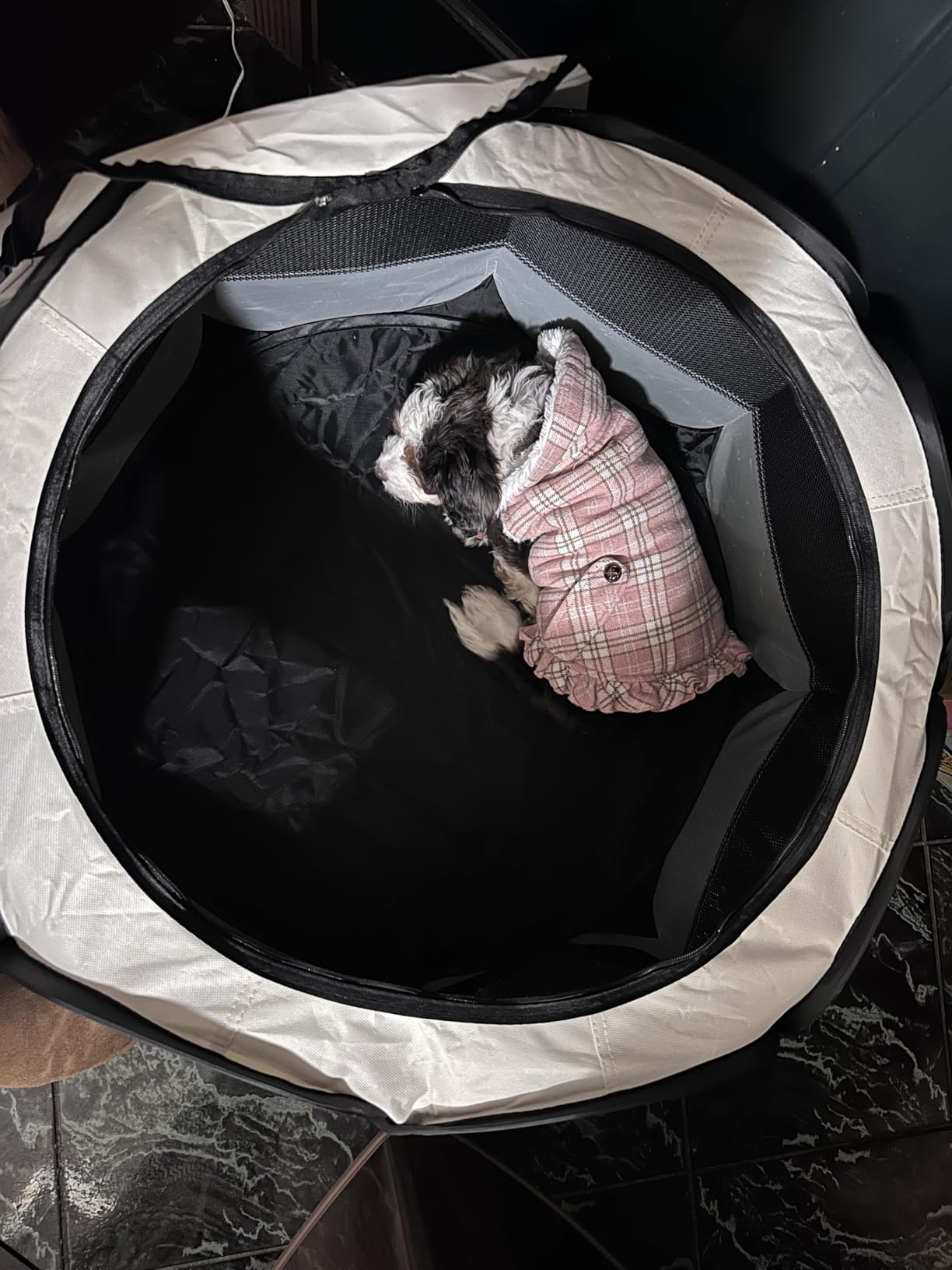 Love's cabin Pet Puppy Dog Playpen, Small Dog Tent Crates Cage Indoor/Outdoor, Portable Playpen for Cat, Foldable Pop Up Dog Kennel Playpen with Carring Case, Removable Zipper Top, Grey customer photo 2