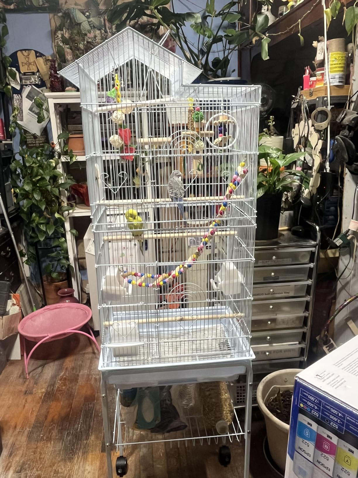 YITAHOME 62 inch Metal Bird Cage, Large Parakeet Cages for Parrot, Cockatiel, Lovebird, Pigeon with Roof Top, Rolling Stand and Hanging Accessories customer photo 2