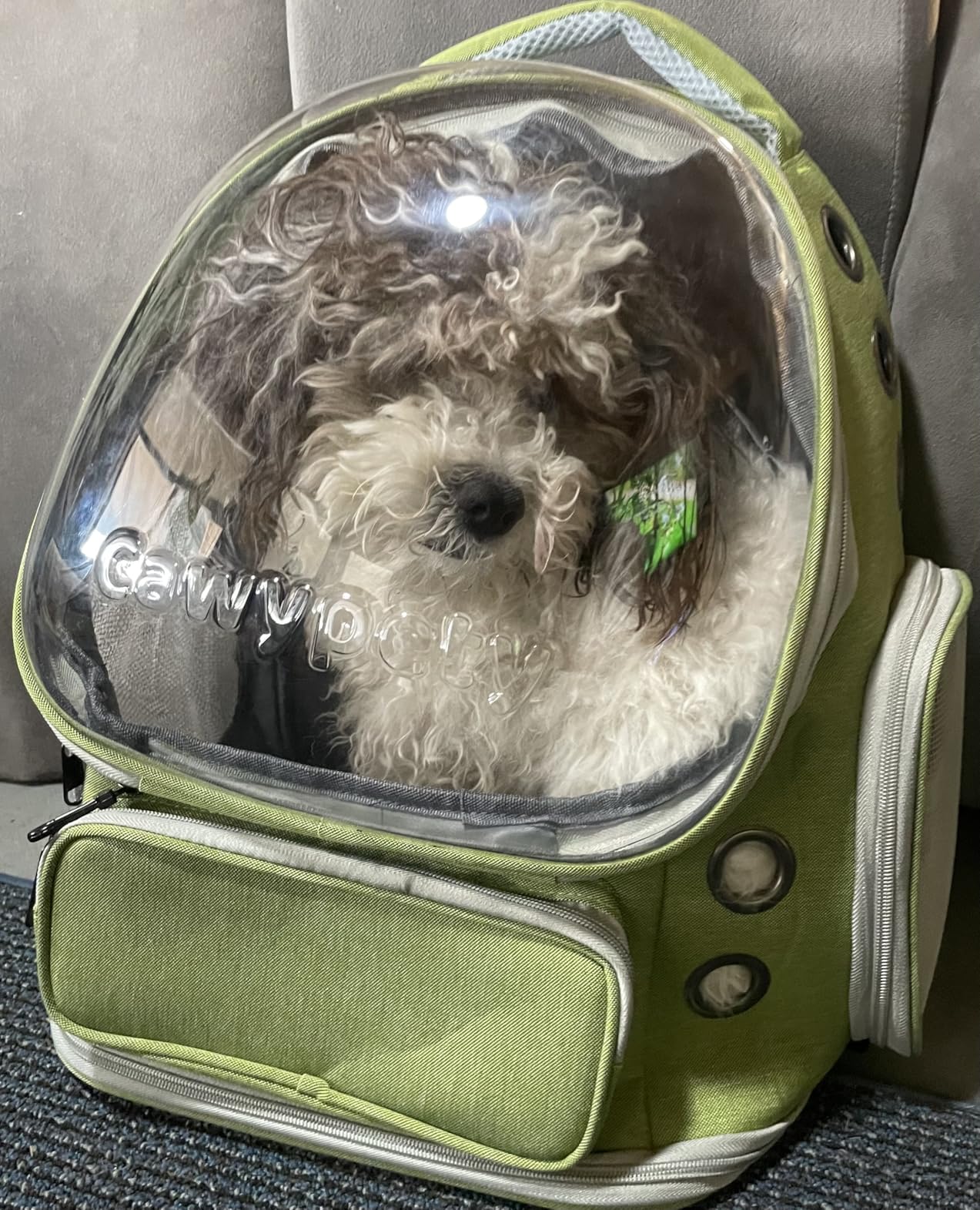 Cawypety Cat Backpack Carrier, Breathable Cat Carrier Large Space Bubble Pet Backpack for Kitty Small Dog up to 15lbs, Transparent & Foldable Pet Carrier for Travel Hiking customer photo 2
