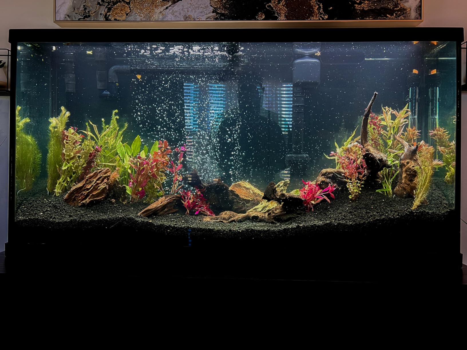 LANDEN Natural Spider Wood Aquarium Decorative Fish Tank Decorations, Driftwood Branches (12-16 Inch, XL) 4 Pcs customer photo 2