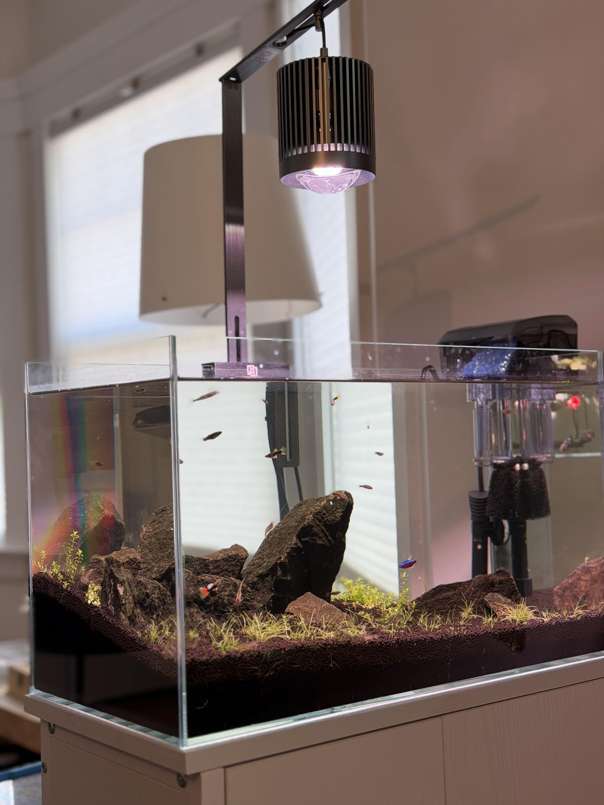 LAQUAL Rimless Glass Aquarium Starter Kit (3 Gal), Ultra Clear Low Iron Glass Fish Tank Set, Small Beta Fish Tank & Filter with Surface Skimmer & 3-Mode LED Light customer photo 2